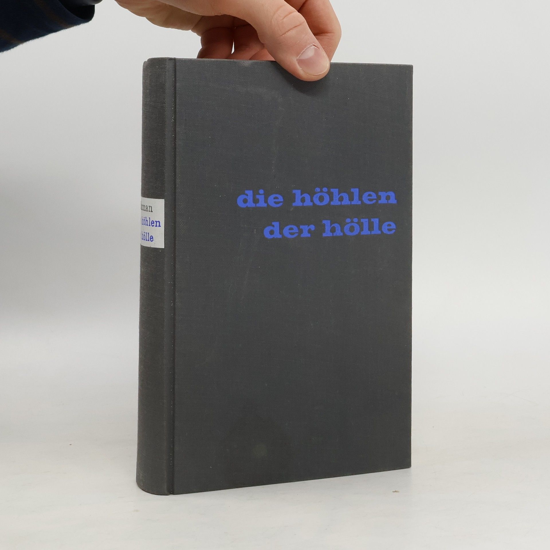 Koppel Holzman Die Höhlen der Hölle