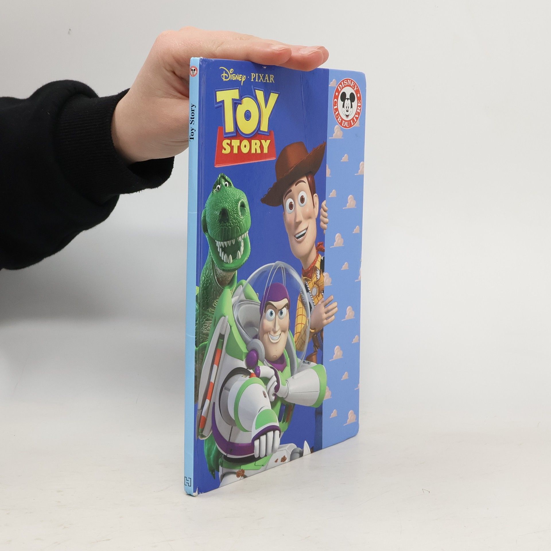 Randy Thornton Toy Story