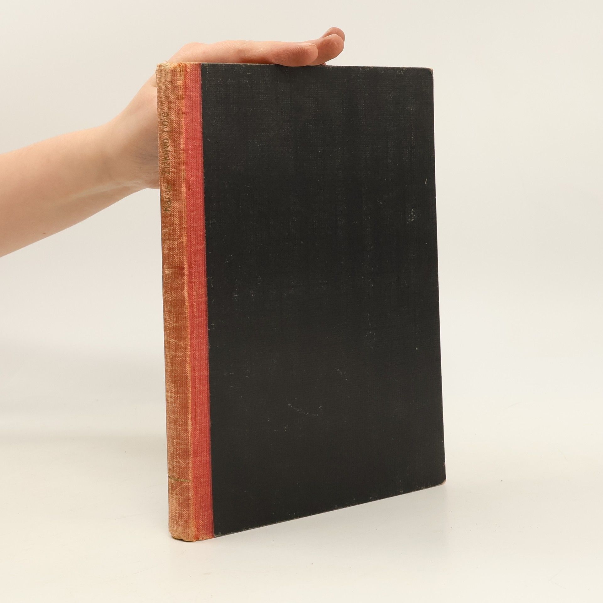 Josef František Karas Žižkovo pole. Román z XV. věku