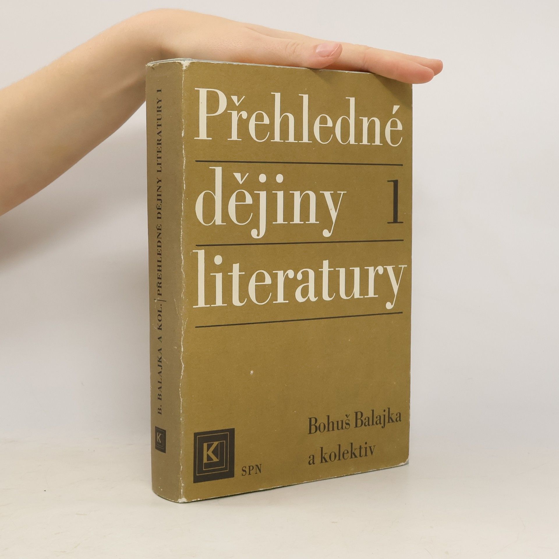 Přehledné dějiny literatury I.