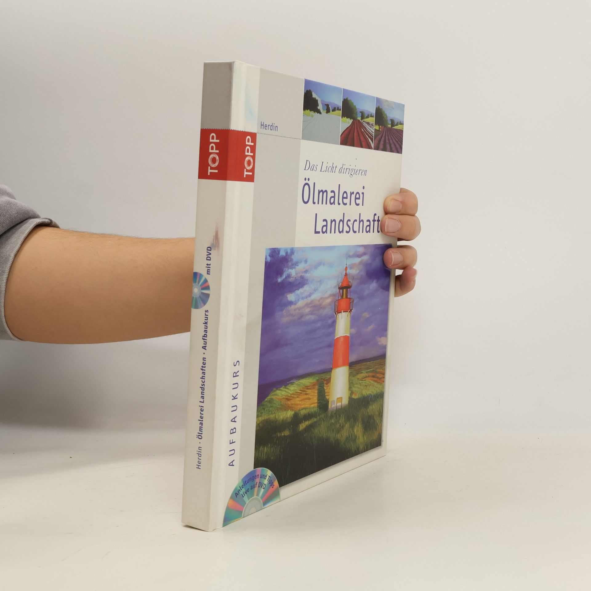 Herdin Das Licht dirigieren - Ölmalerei Landschaften - Aufbaukurs