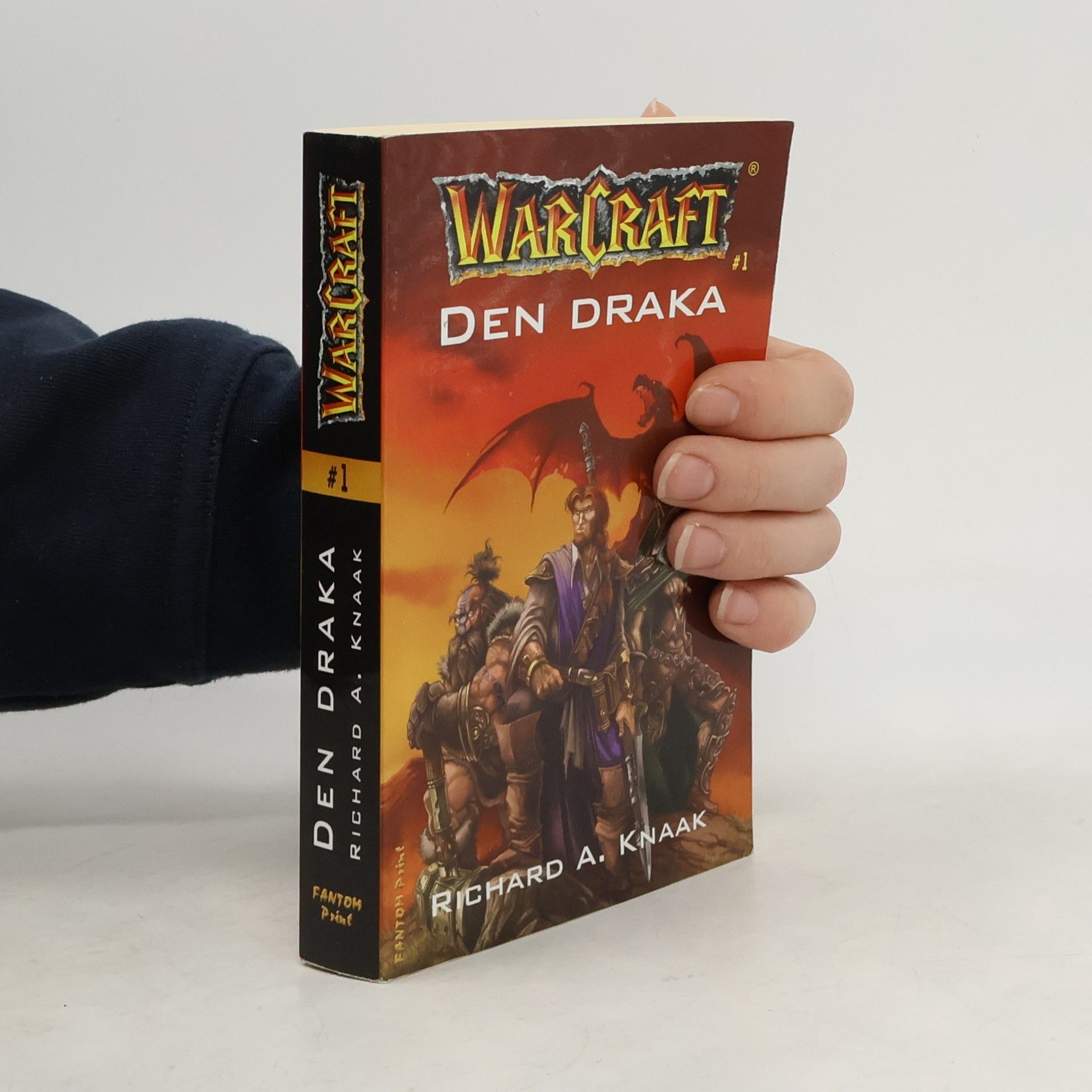 Richard A. Knaak WarCraft. Den draka