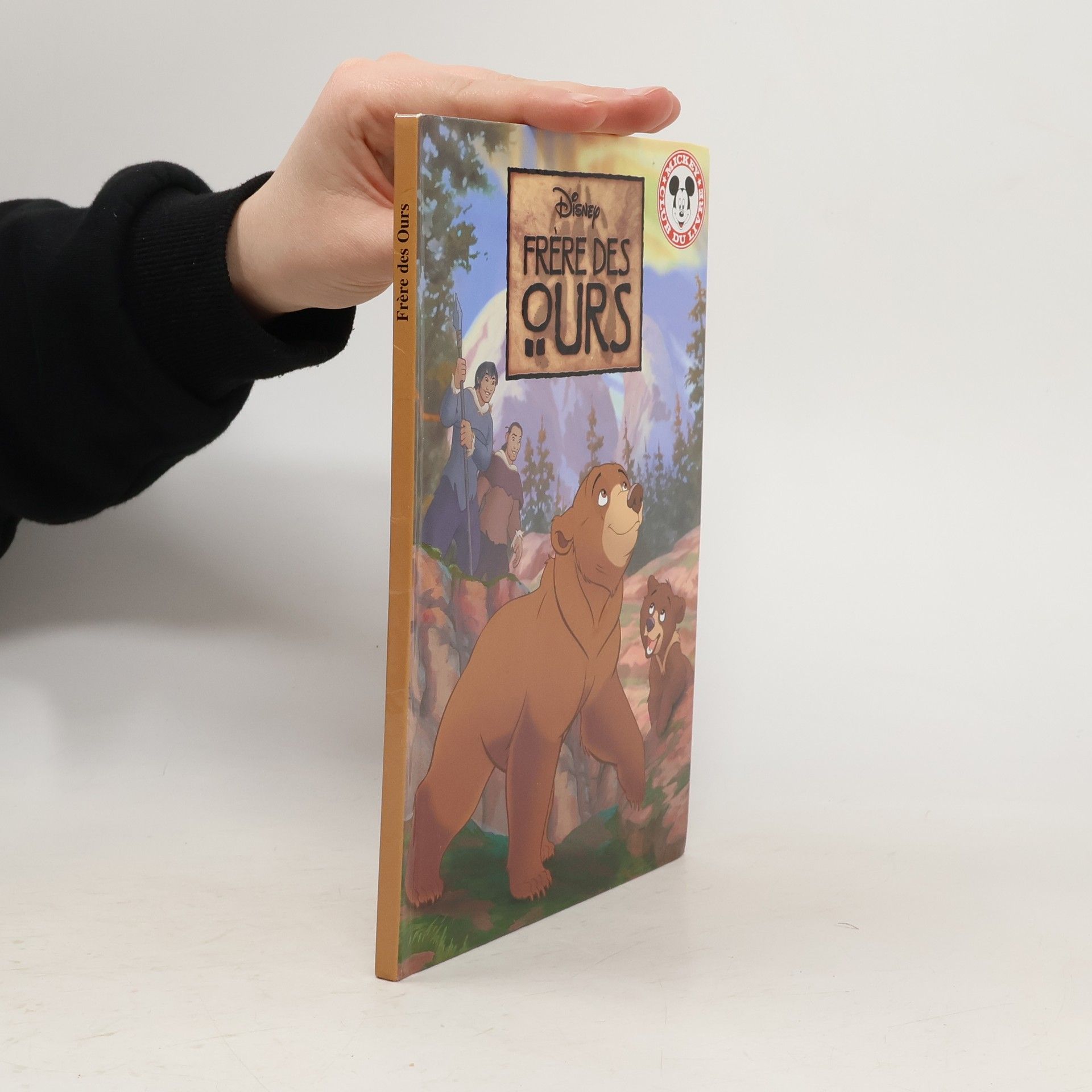 Walt Disney Frères des ours