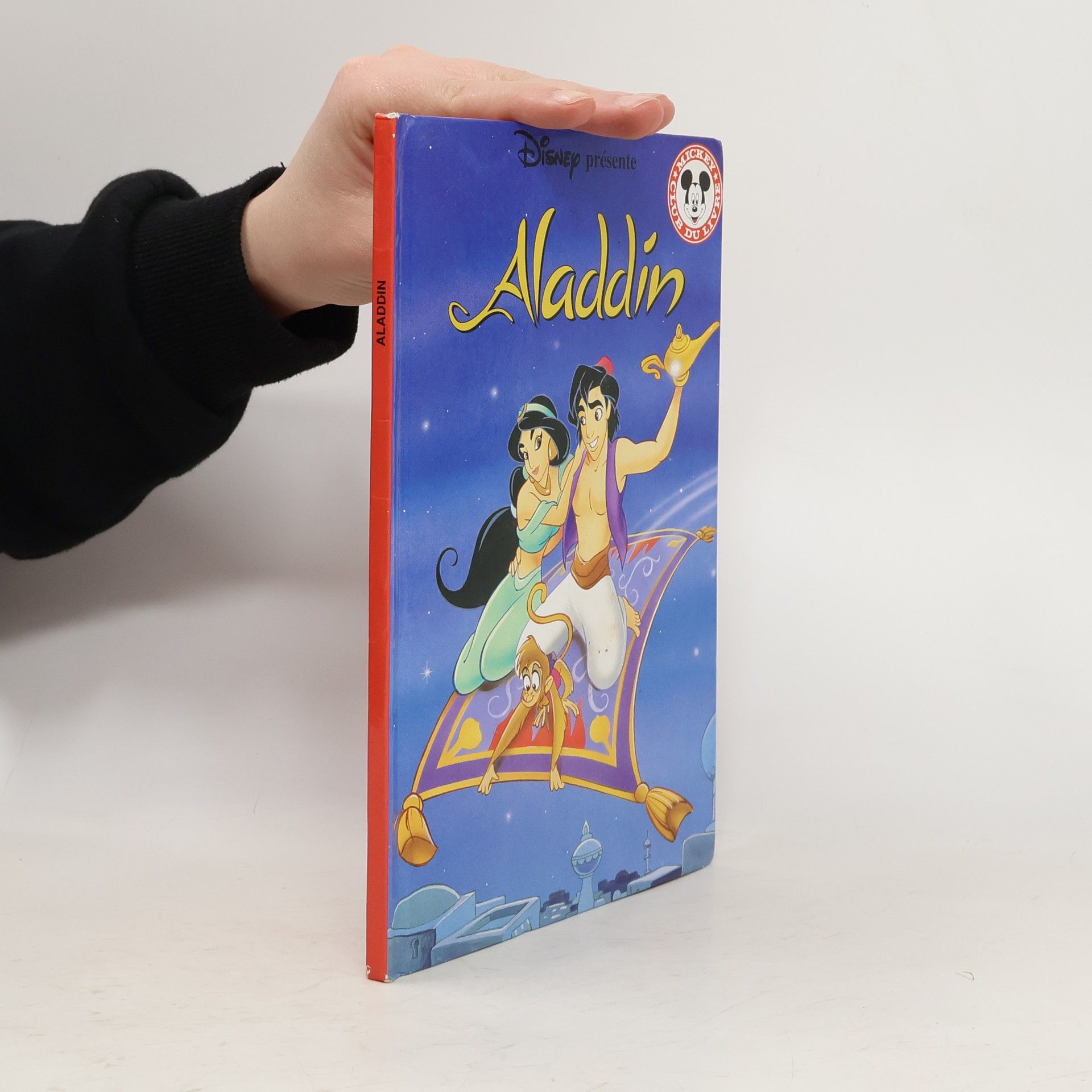 Kolektiv autorů Aladdin