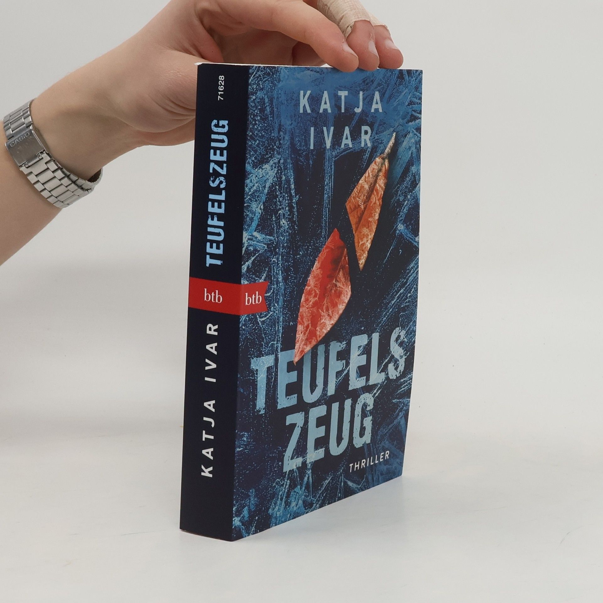 Katja Ivar Teufelszeug