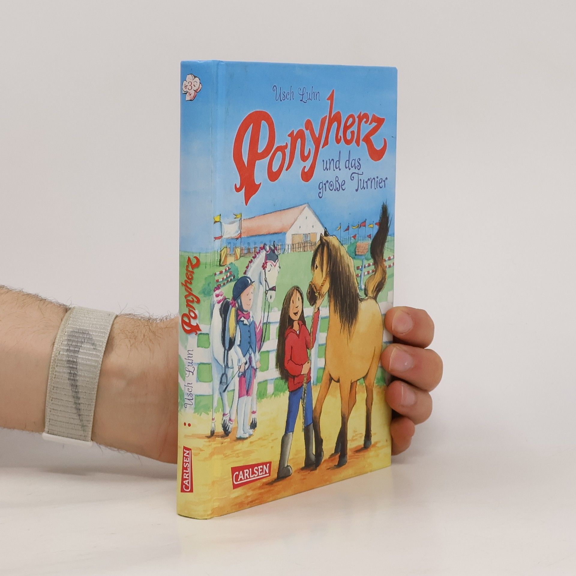 Usch Luhn Ponyherz und das große Turnier