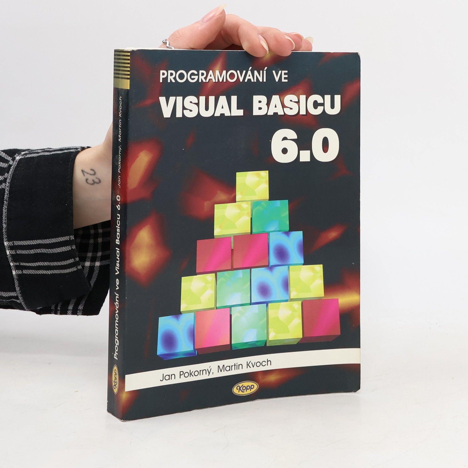 Programování ve Visual Basicu 6.0