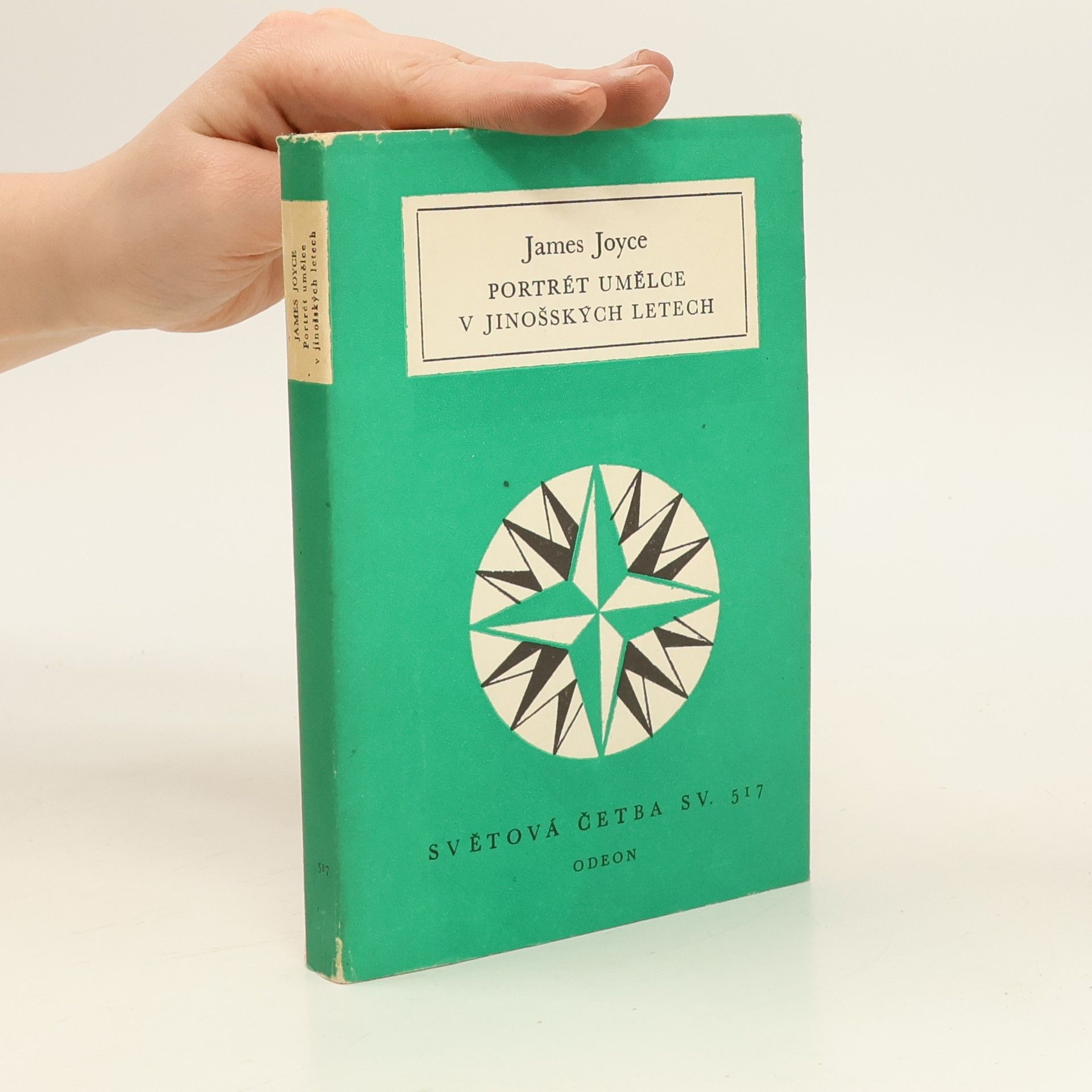 Portrét umělce v jinošských letech