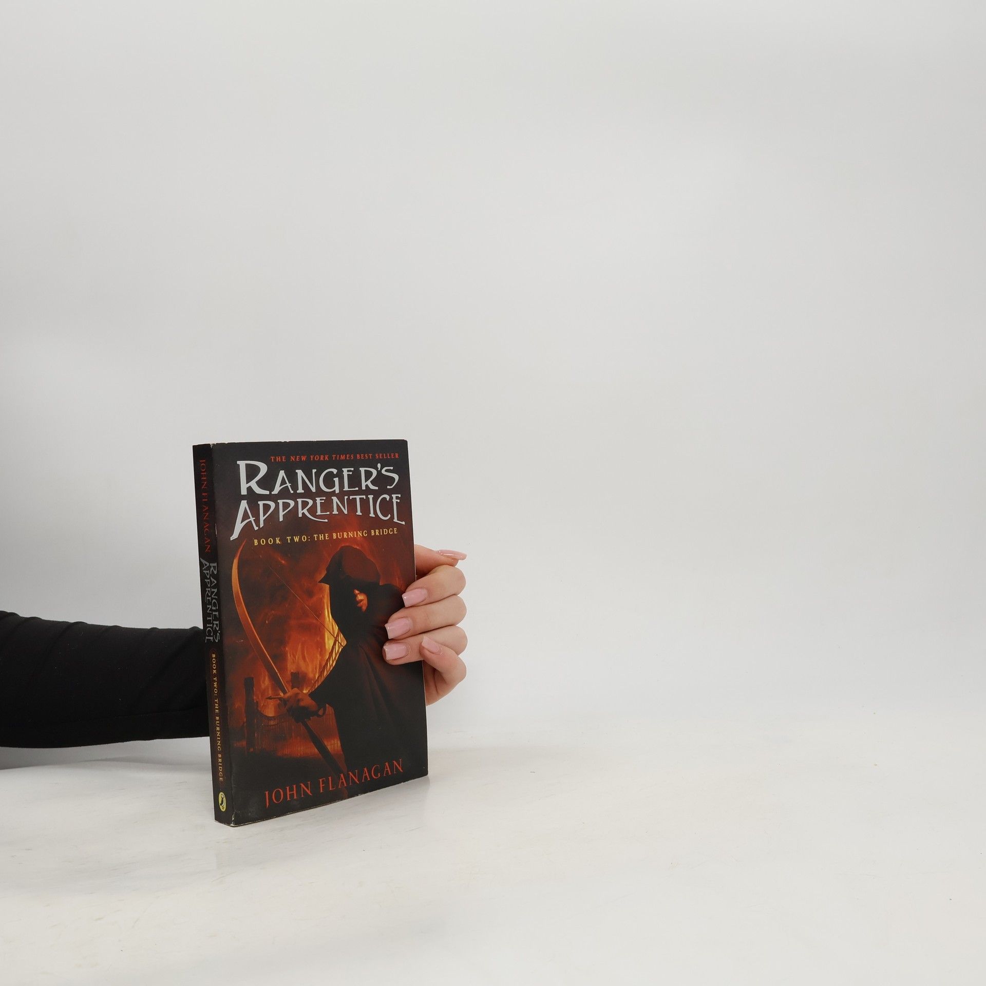 Ranger's Apprentice. The Burning Bridge