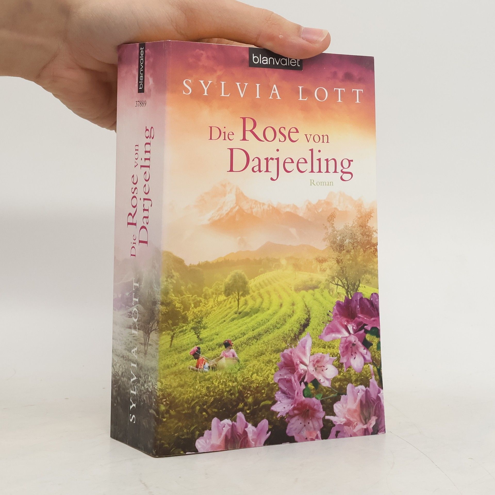 Sylvia Lott Die Rose von Darjeeling