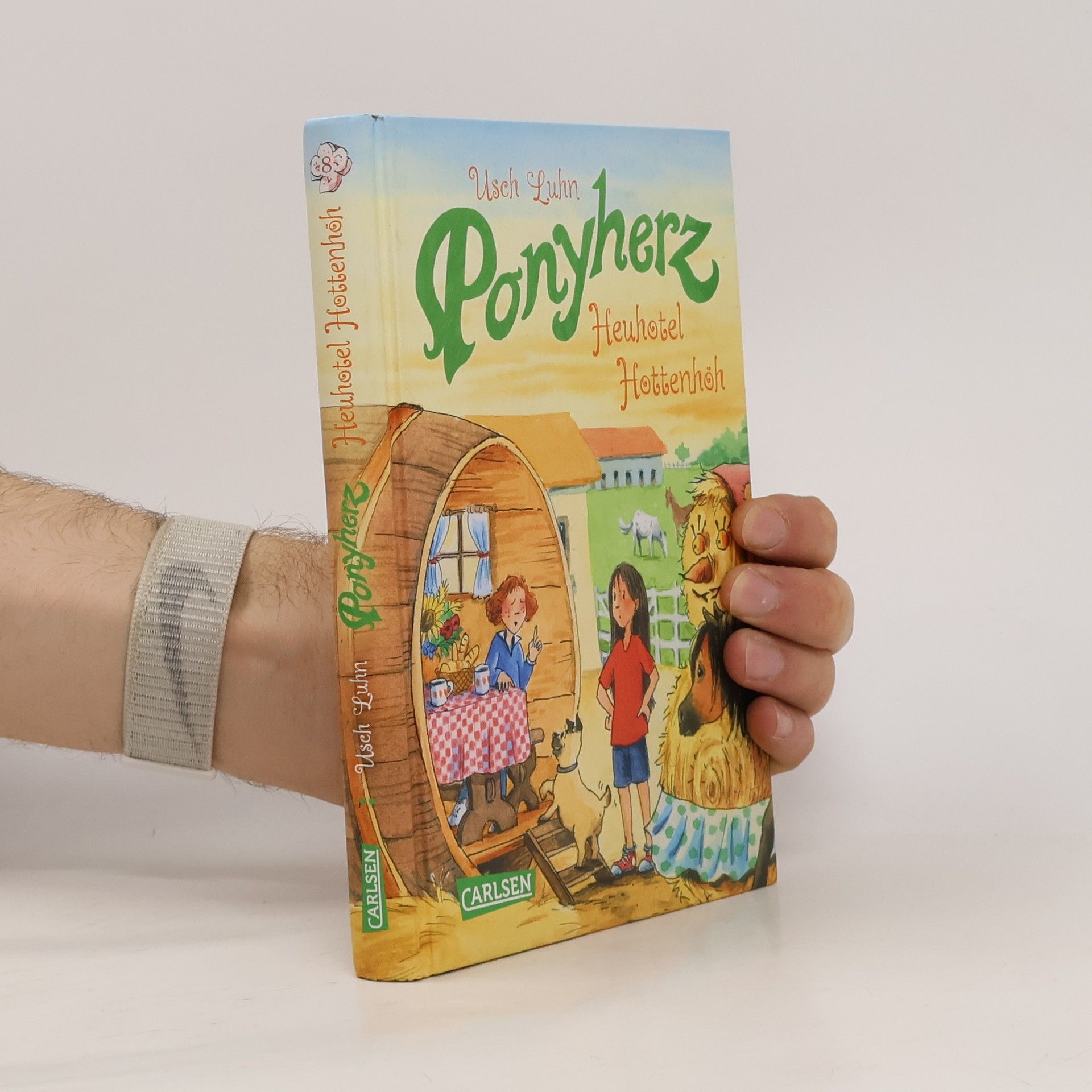 Usch Luhn Heuhotel Hottenhöh / Ponyherz Bd.8