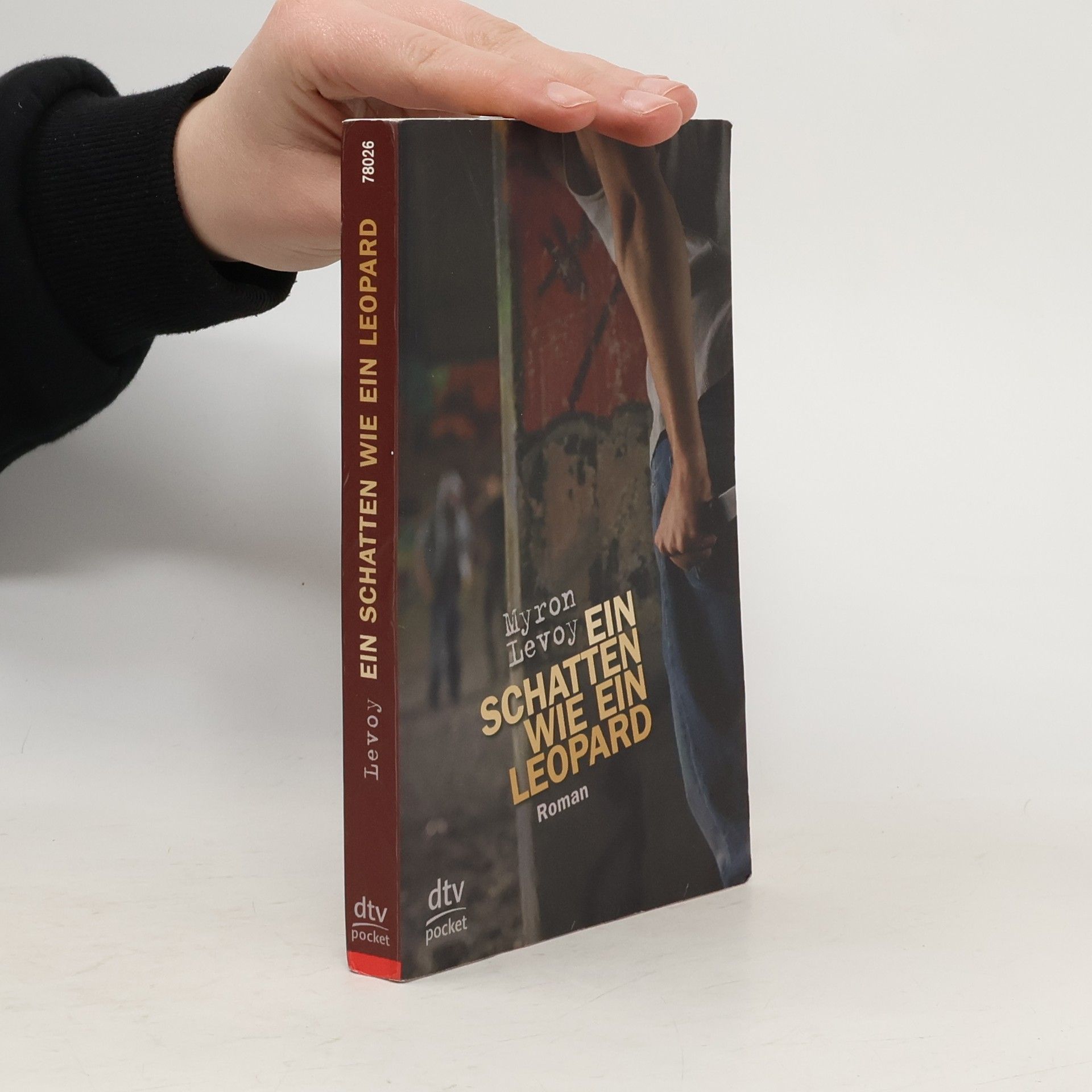 Myron Levoy Ein Schatten wie ein Leopard