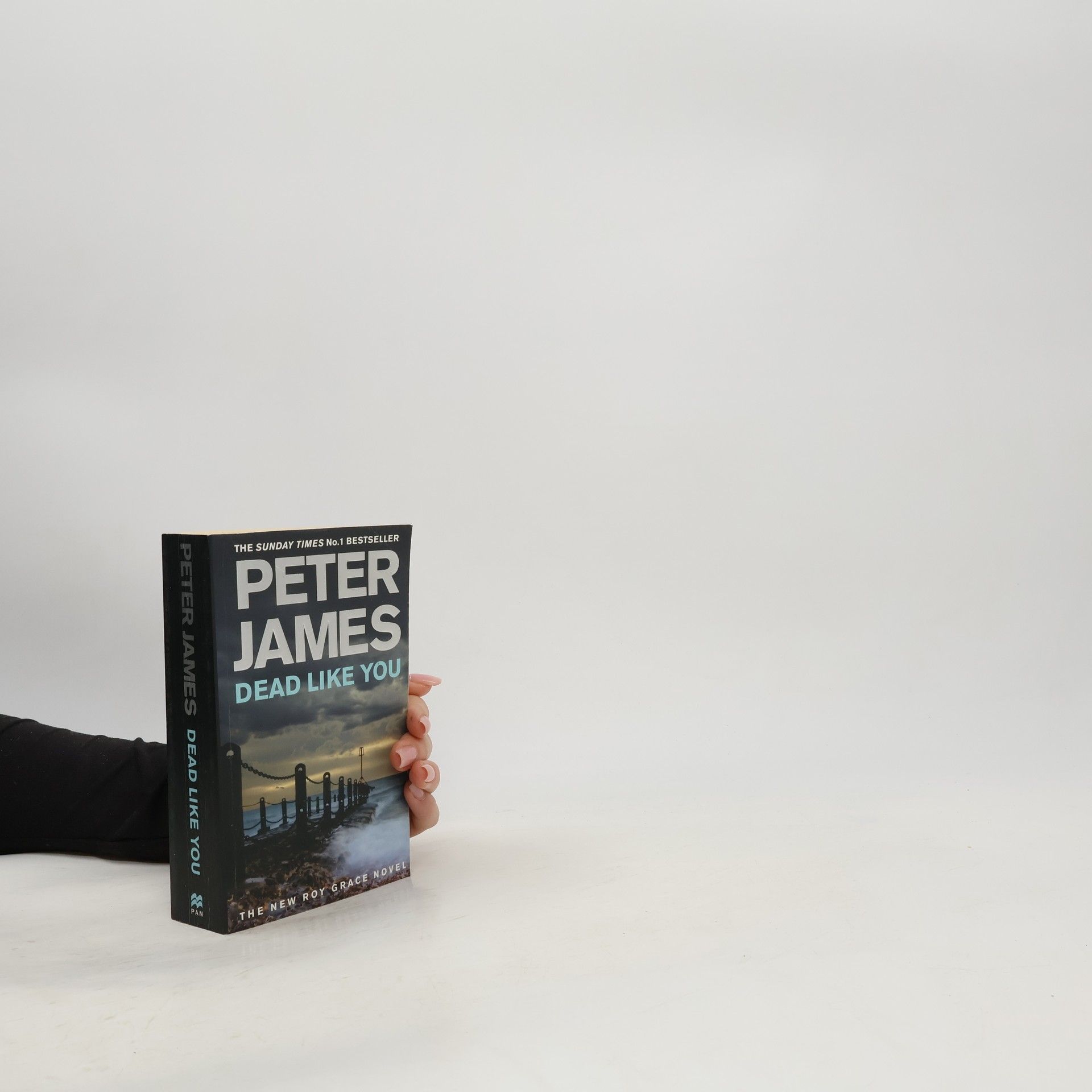 Peter James Dead Like You