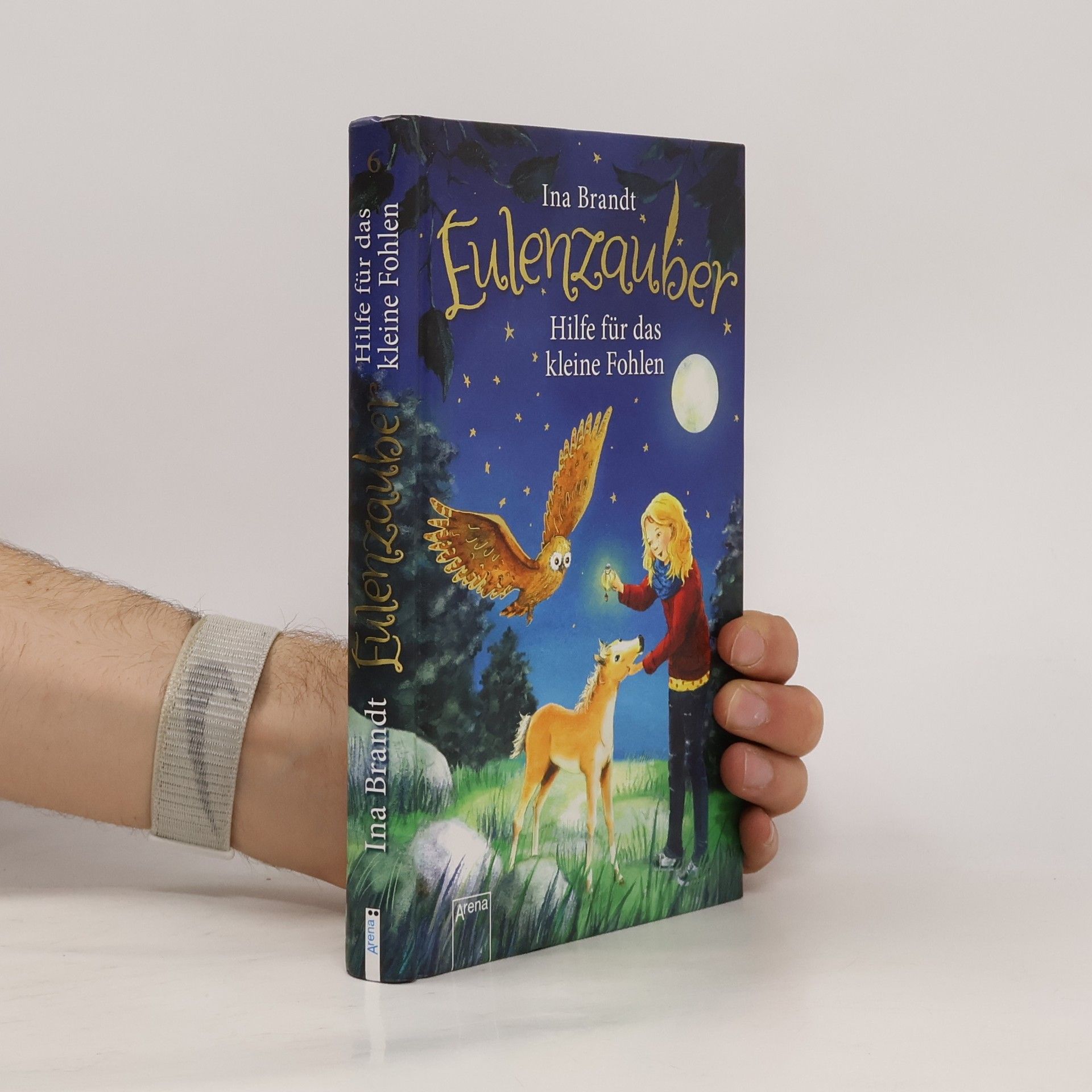 Hilfe für das kleine Fohlen