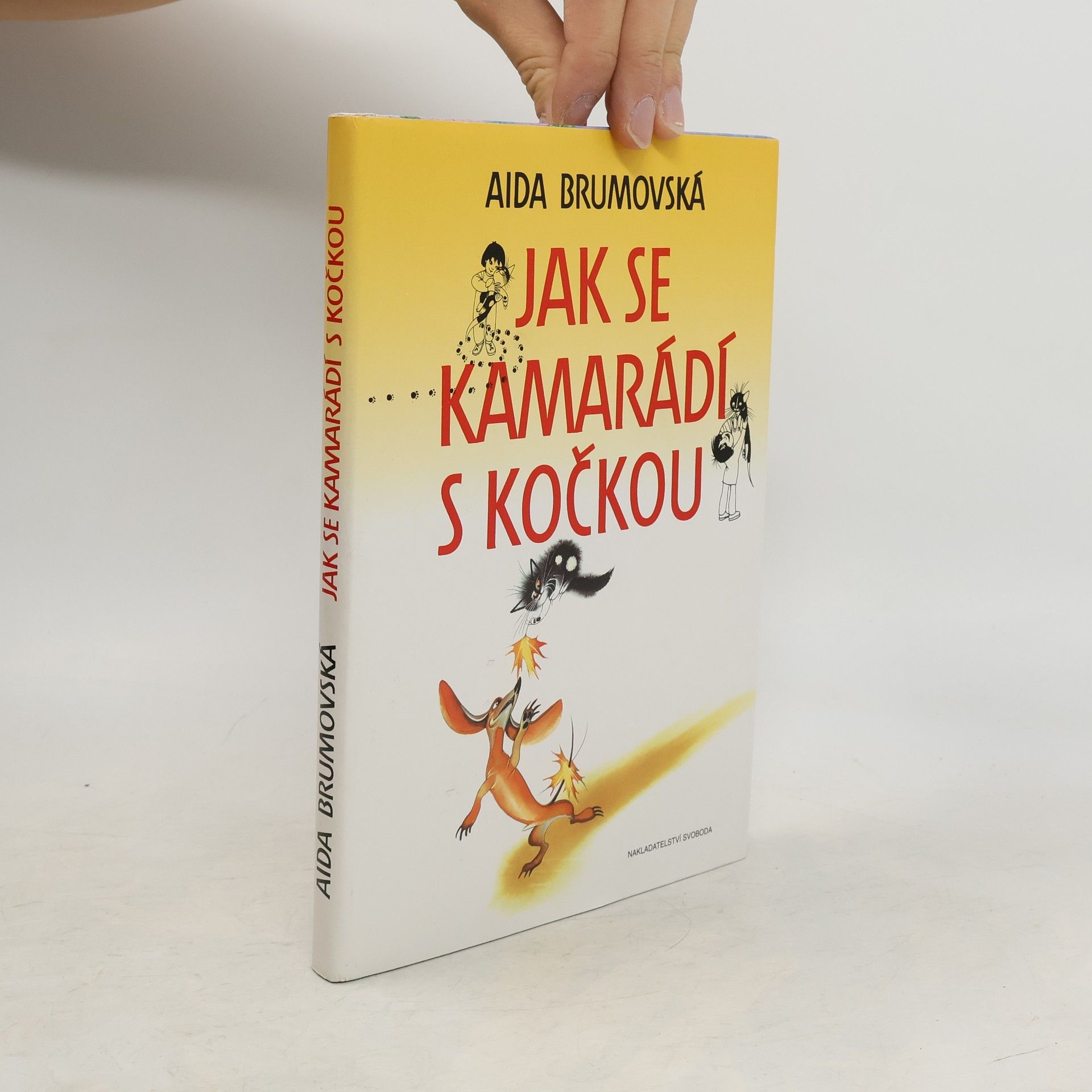 Jak se kamarádí s kočkou