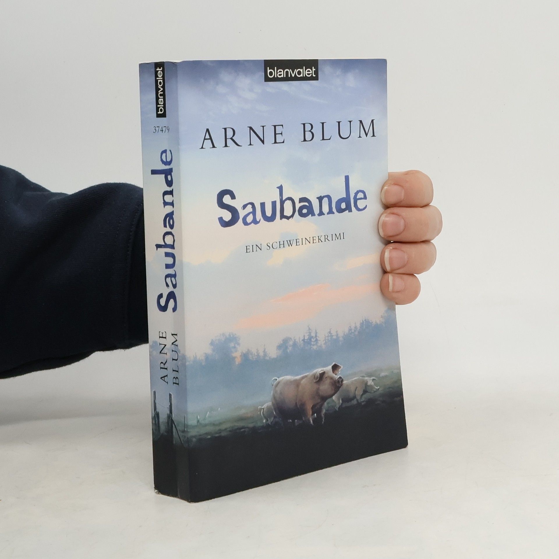 Arne Blum Saubande