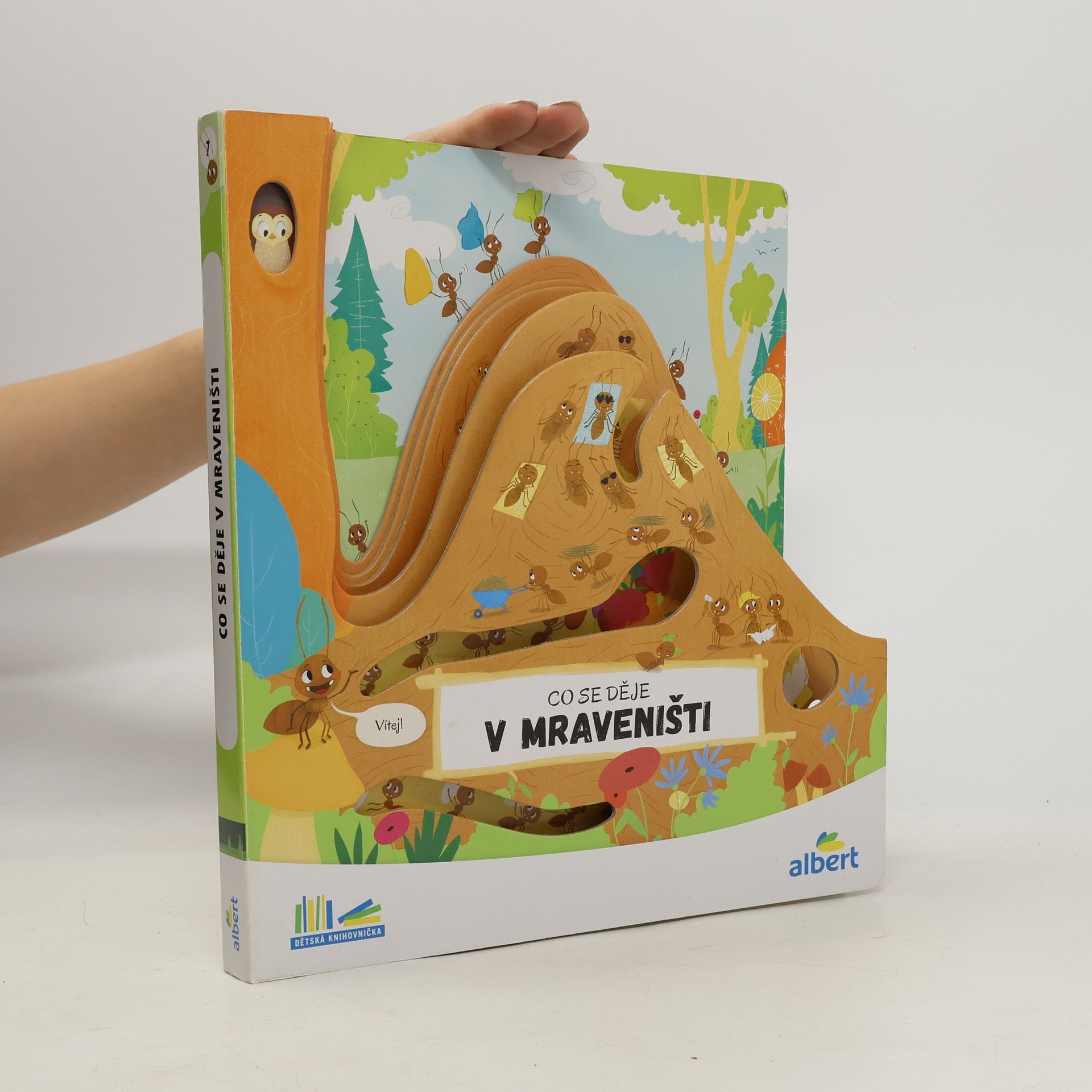 Kolektiv autorů Co se děje v mraveništi