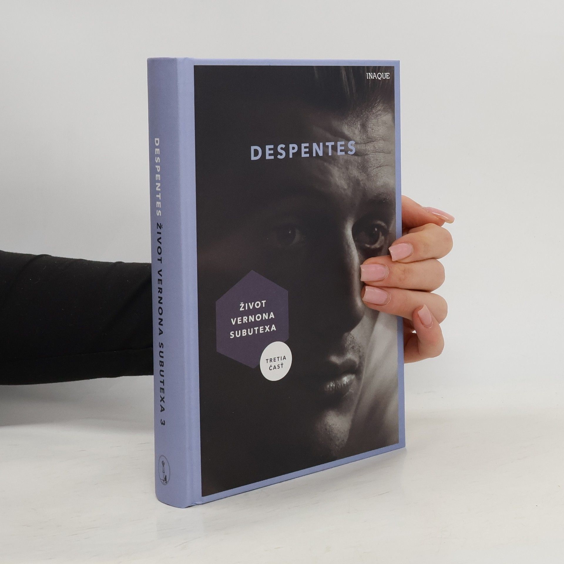 Virginie Despentes Život Vernona Subutexa 3