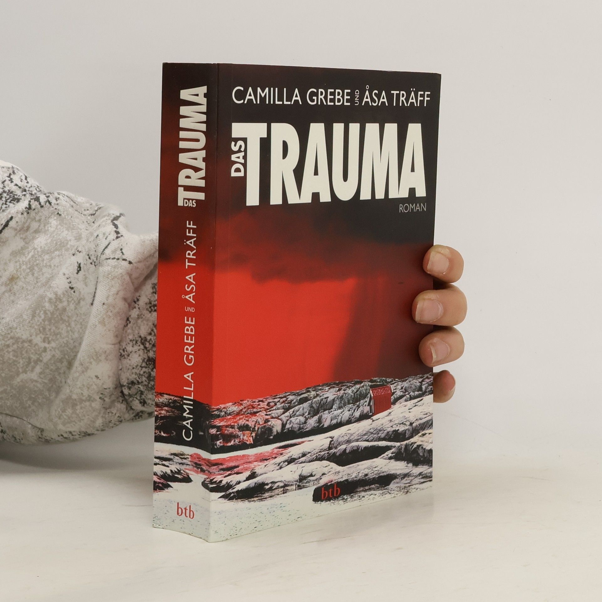 Camilla Grebe Das Trauma