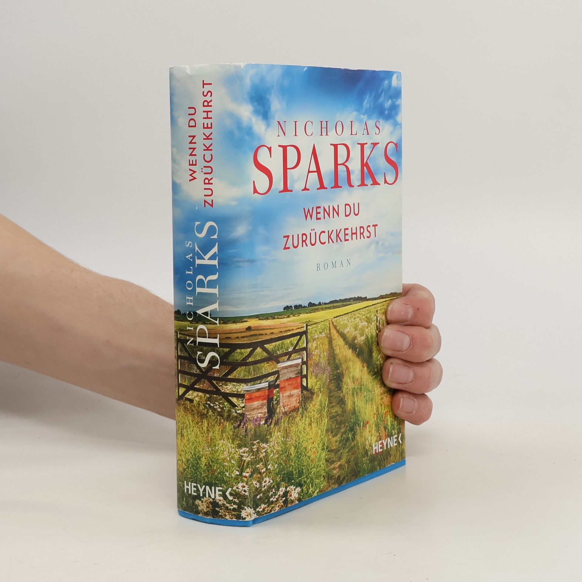 Nicholas Sparks Wenn du zurückkehrst