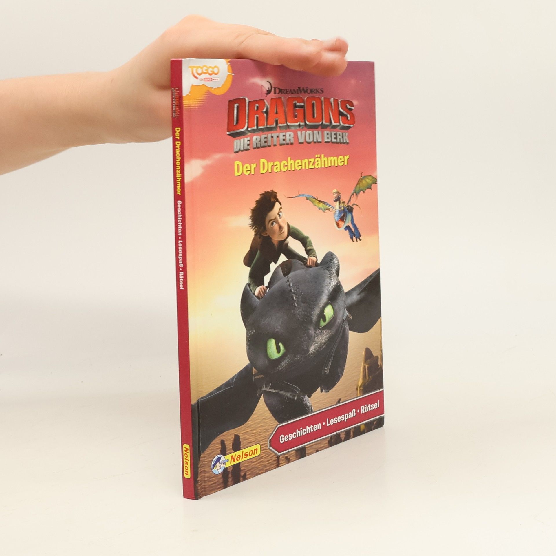Autorenkollektiv Dreamworks Dragons - Der Drachenzähmer
