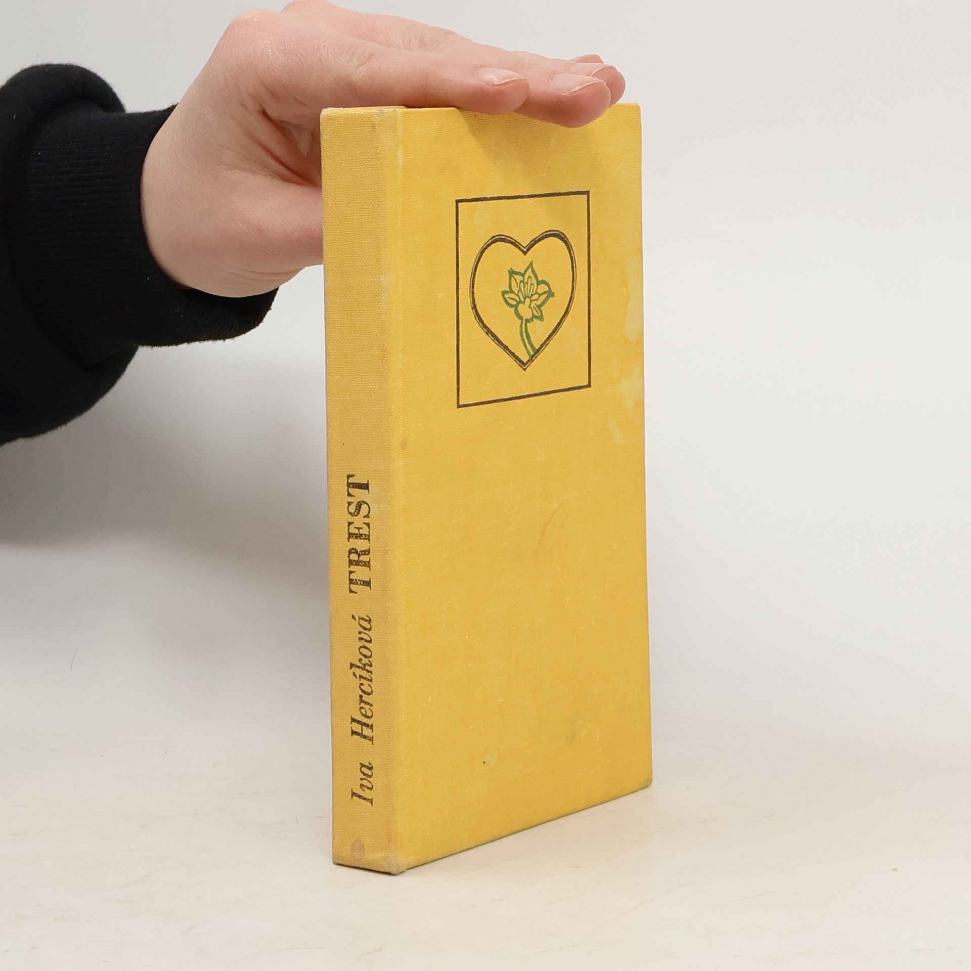 Iva Hercíková Trest