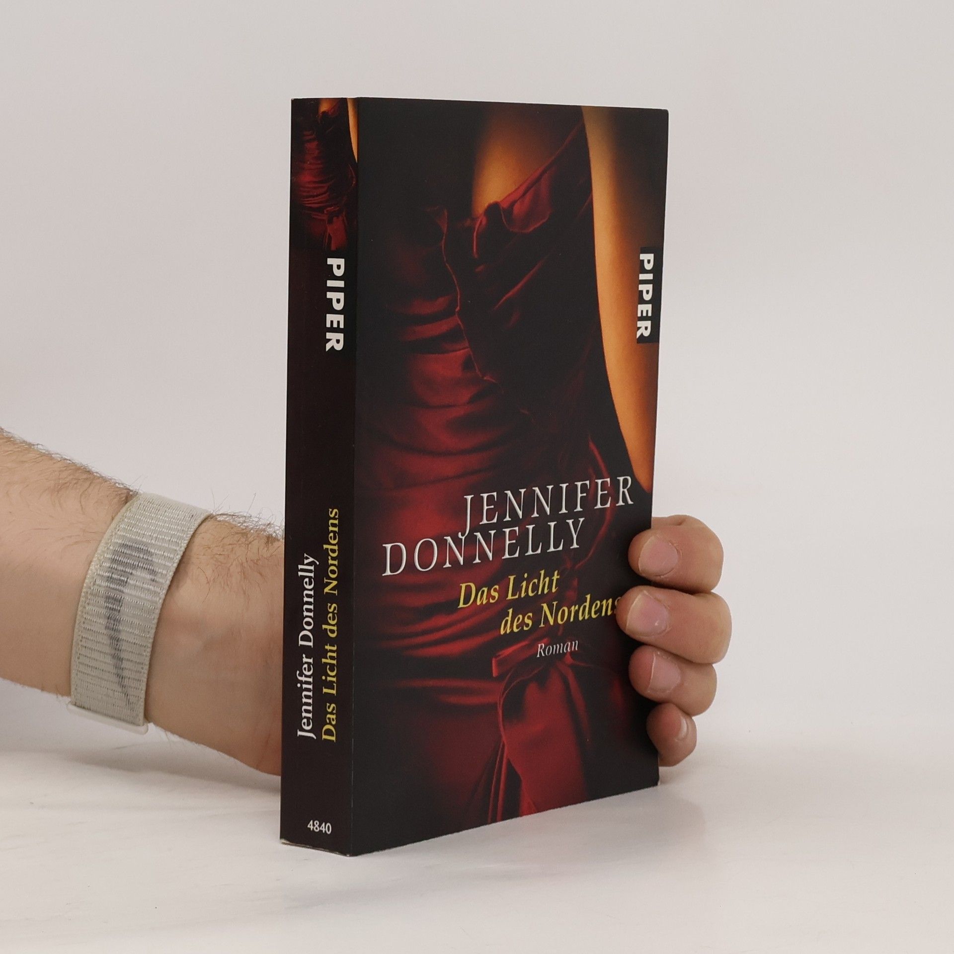 Jennifer Donnelly Das Licht des Nordens