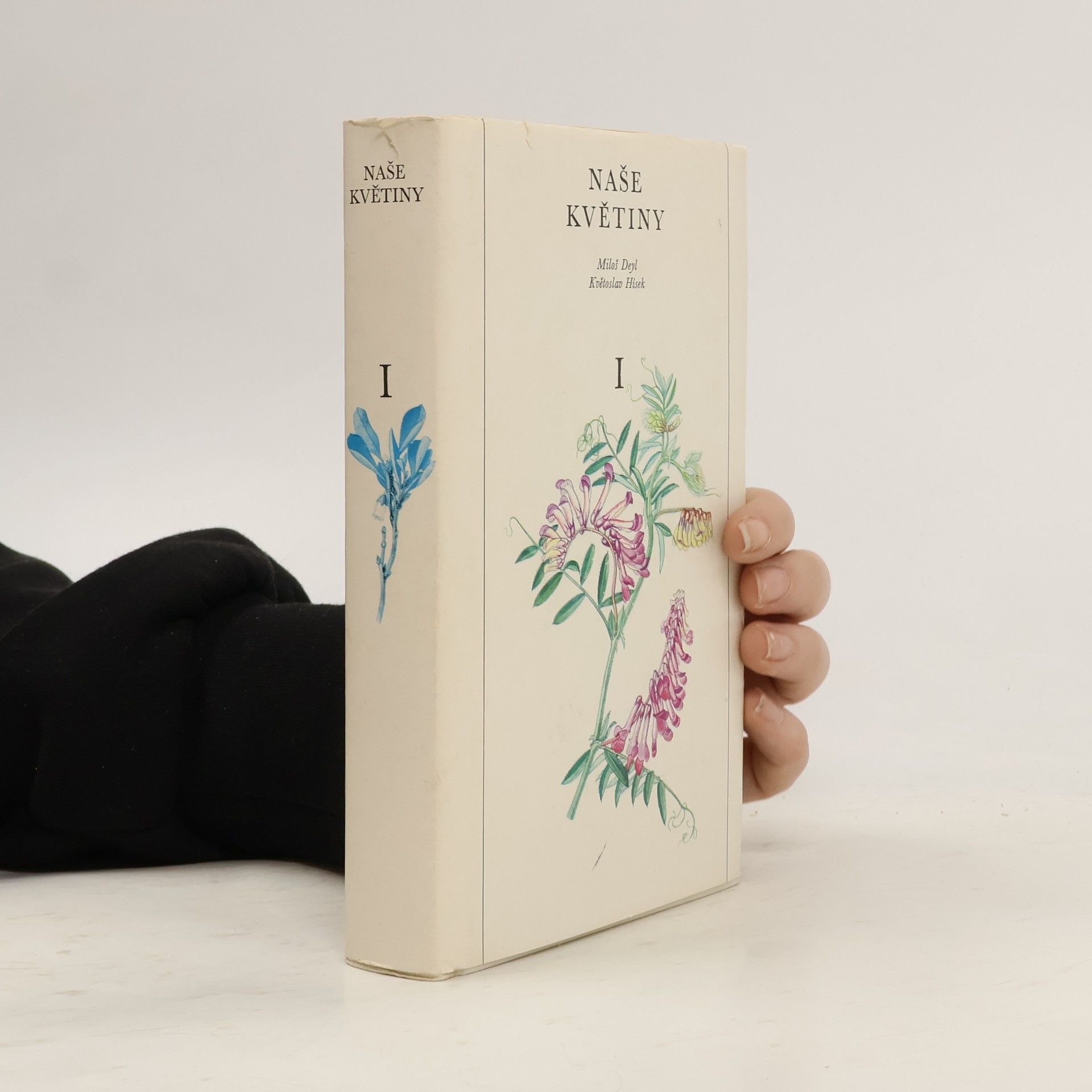 Naše květiny I