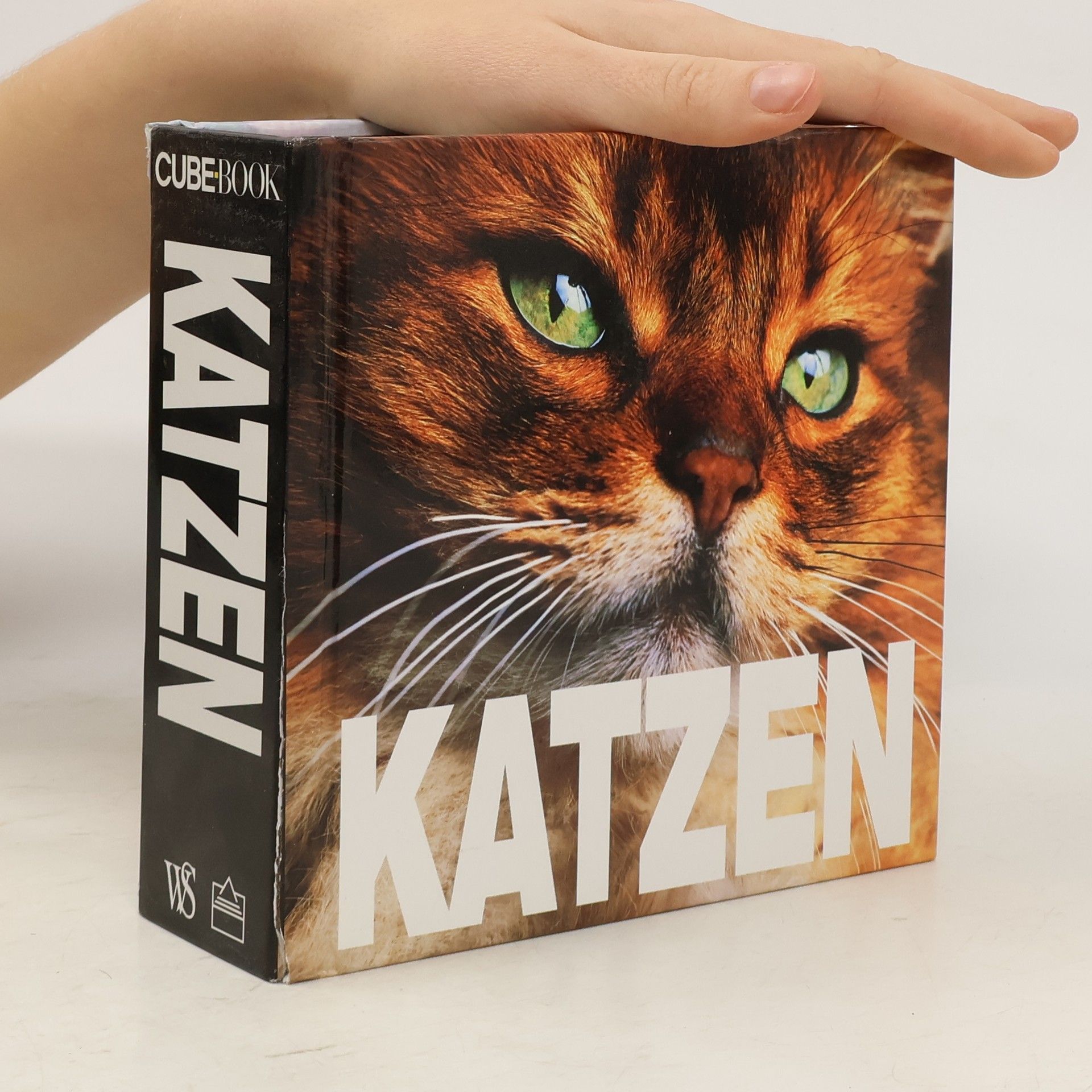 Katzen