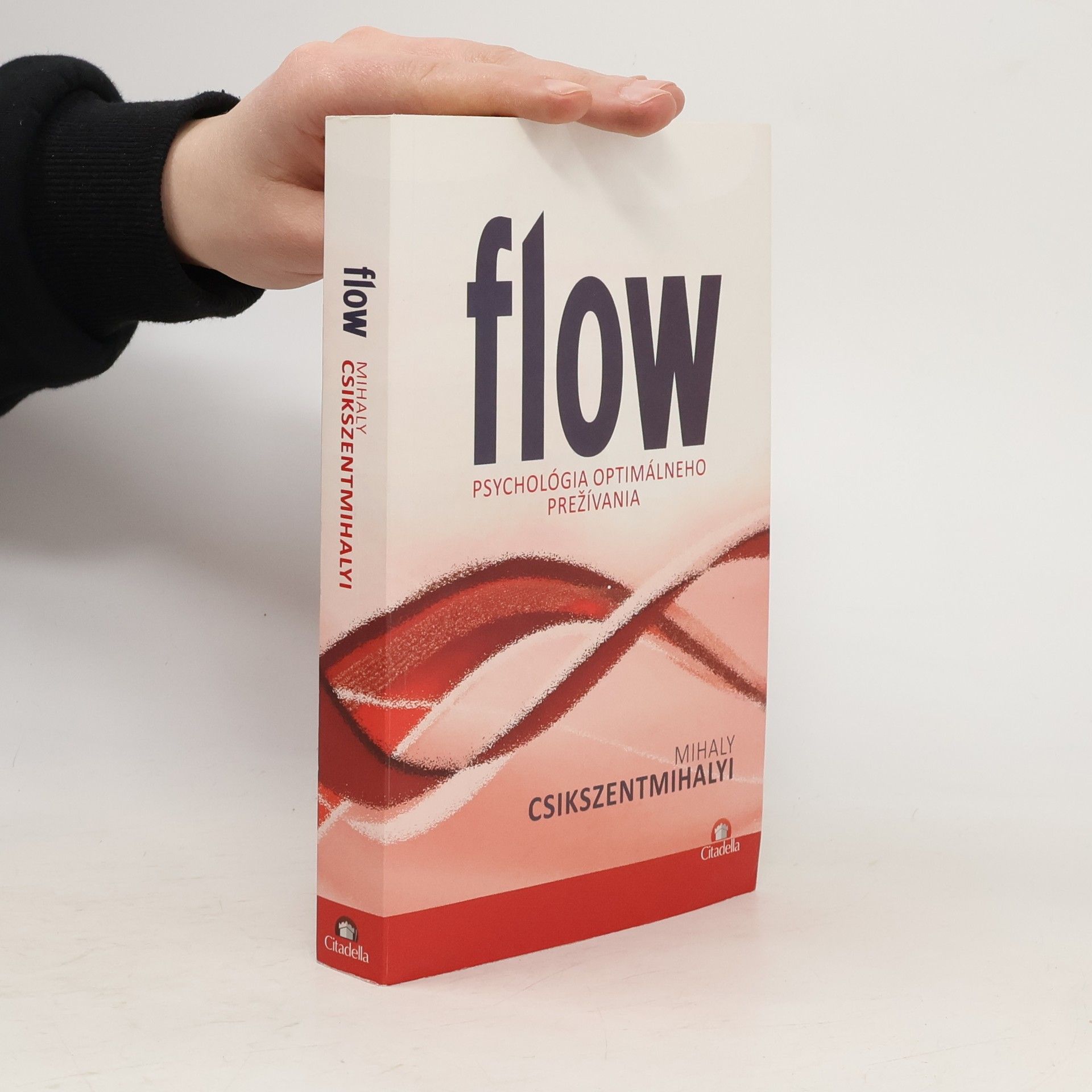 Mihaly Csikszentmihalyi Flow - Psychológia optimálneho prežívania