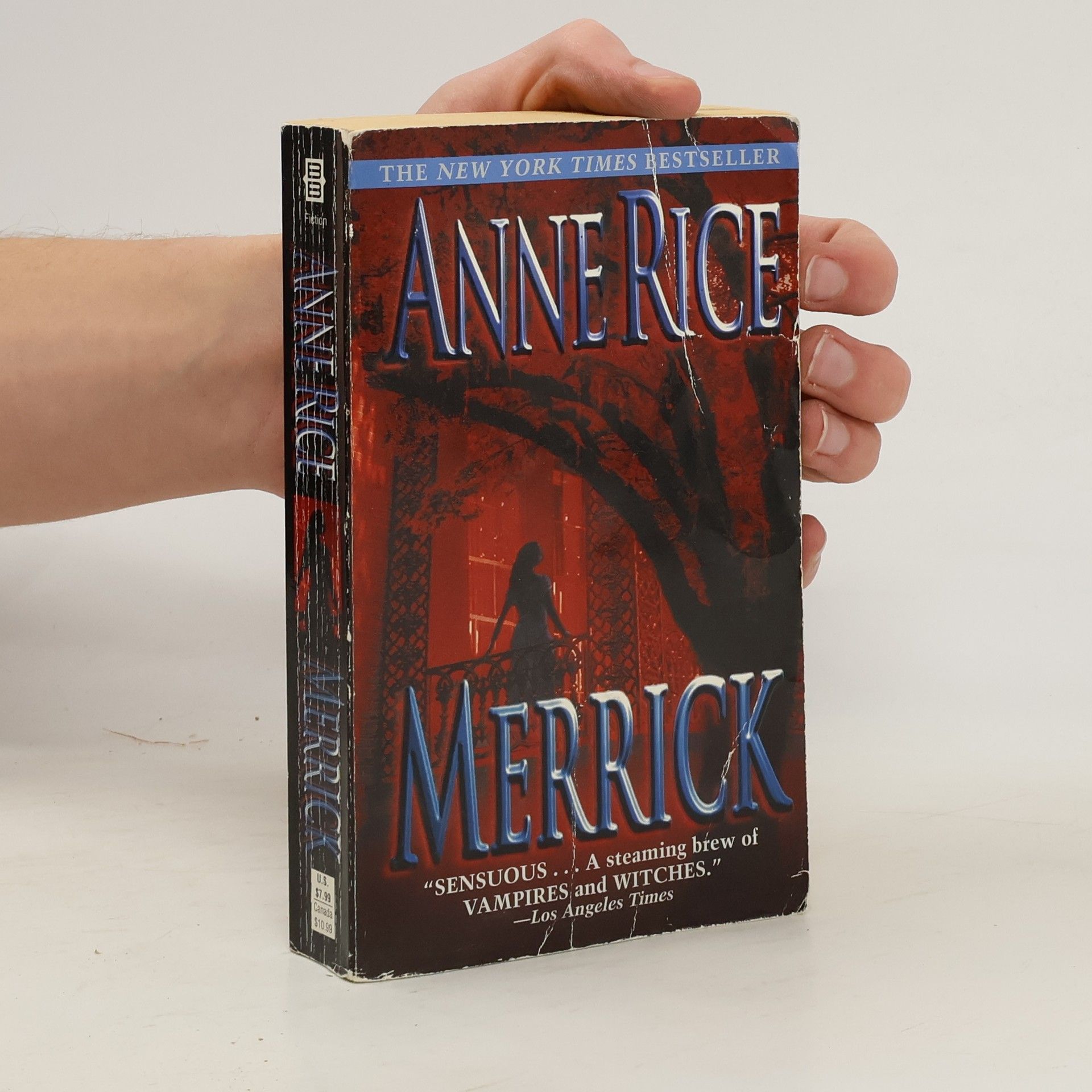 Anne Rice Merrick