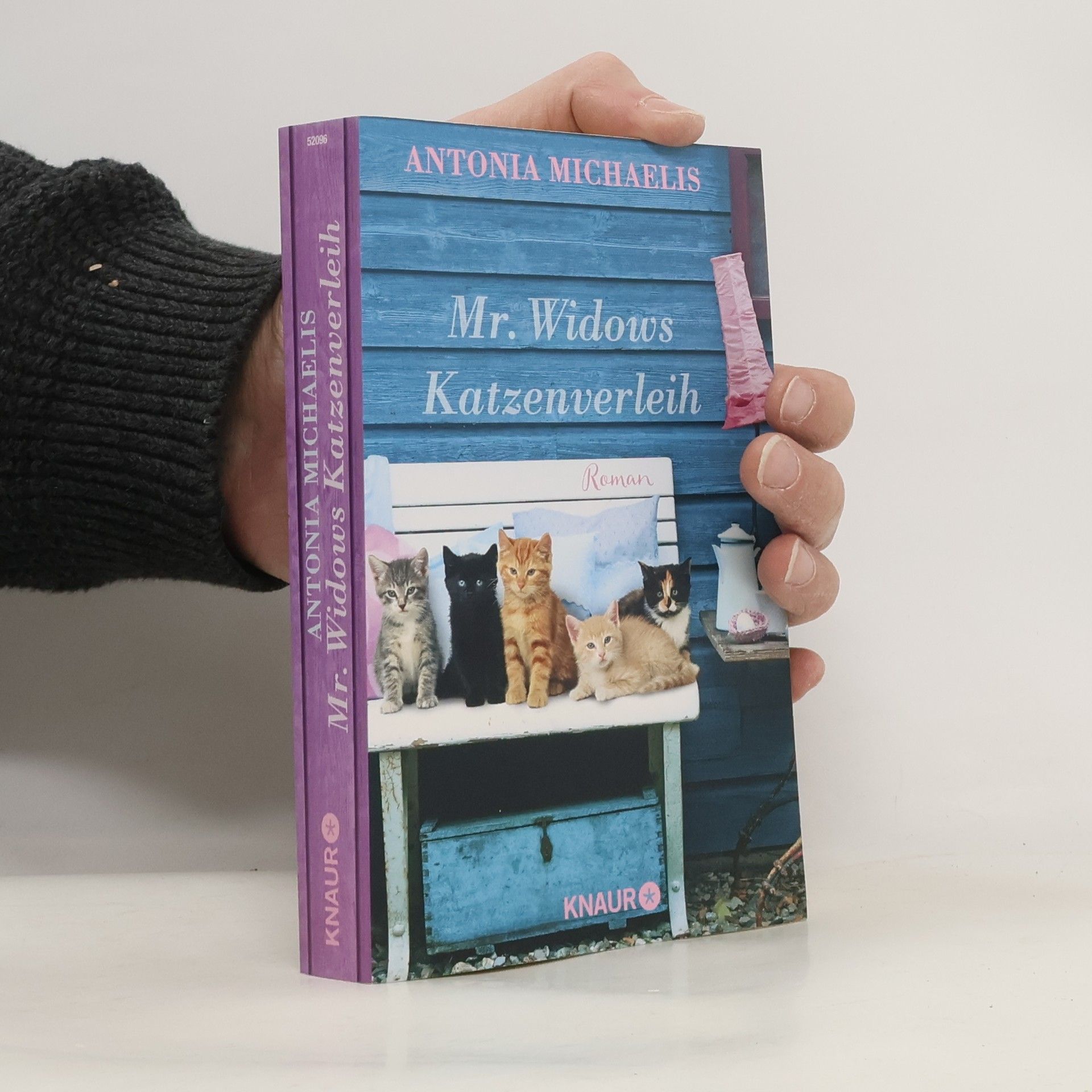 Antonia Michaelis Mr. Widows Katzenverleih