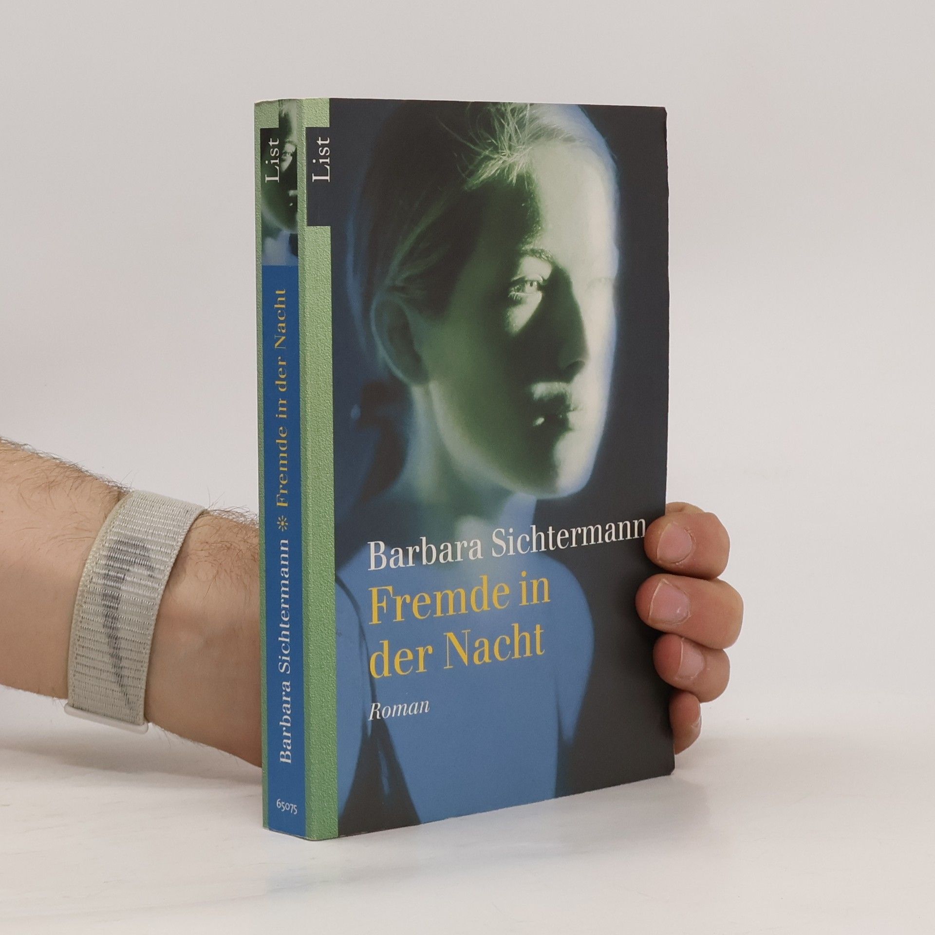 Barbara Sichtermann Fremde in der Nacht