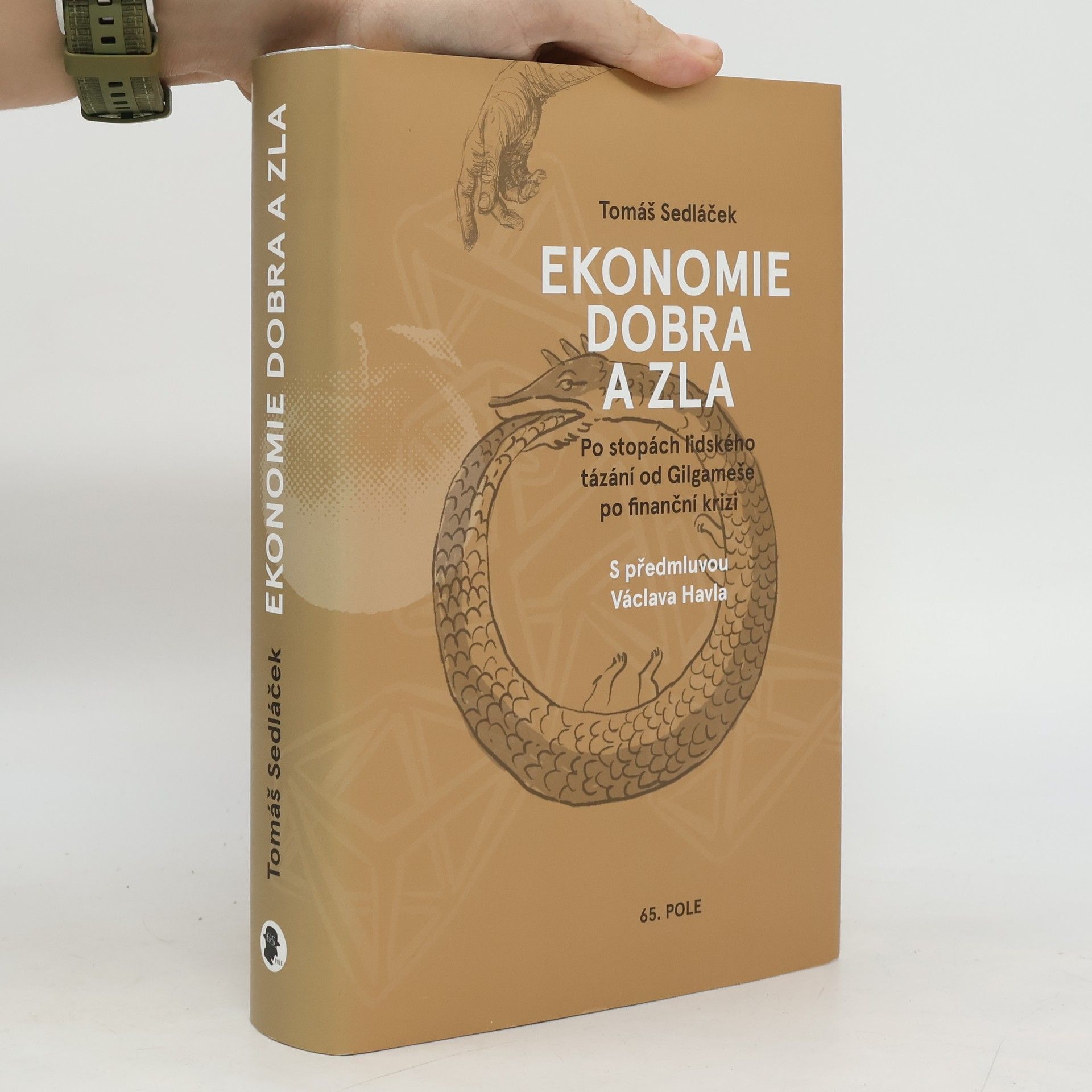 Tomáš Sedláček Ekonomie dobra a zla. Po stopách lidského tázání od Gilgameše po finanční krizi
