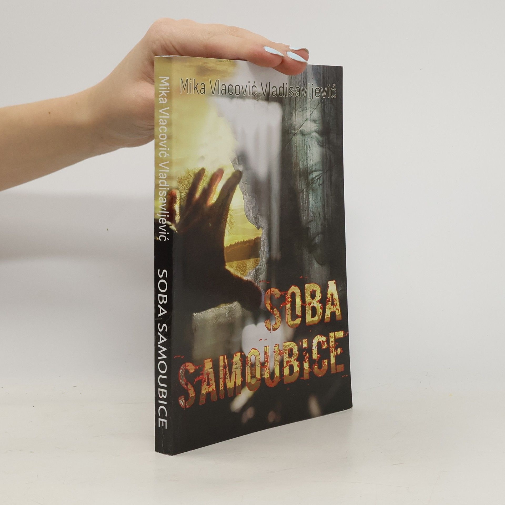 Mika Vlacović Vladisavljević Soba samoubice