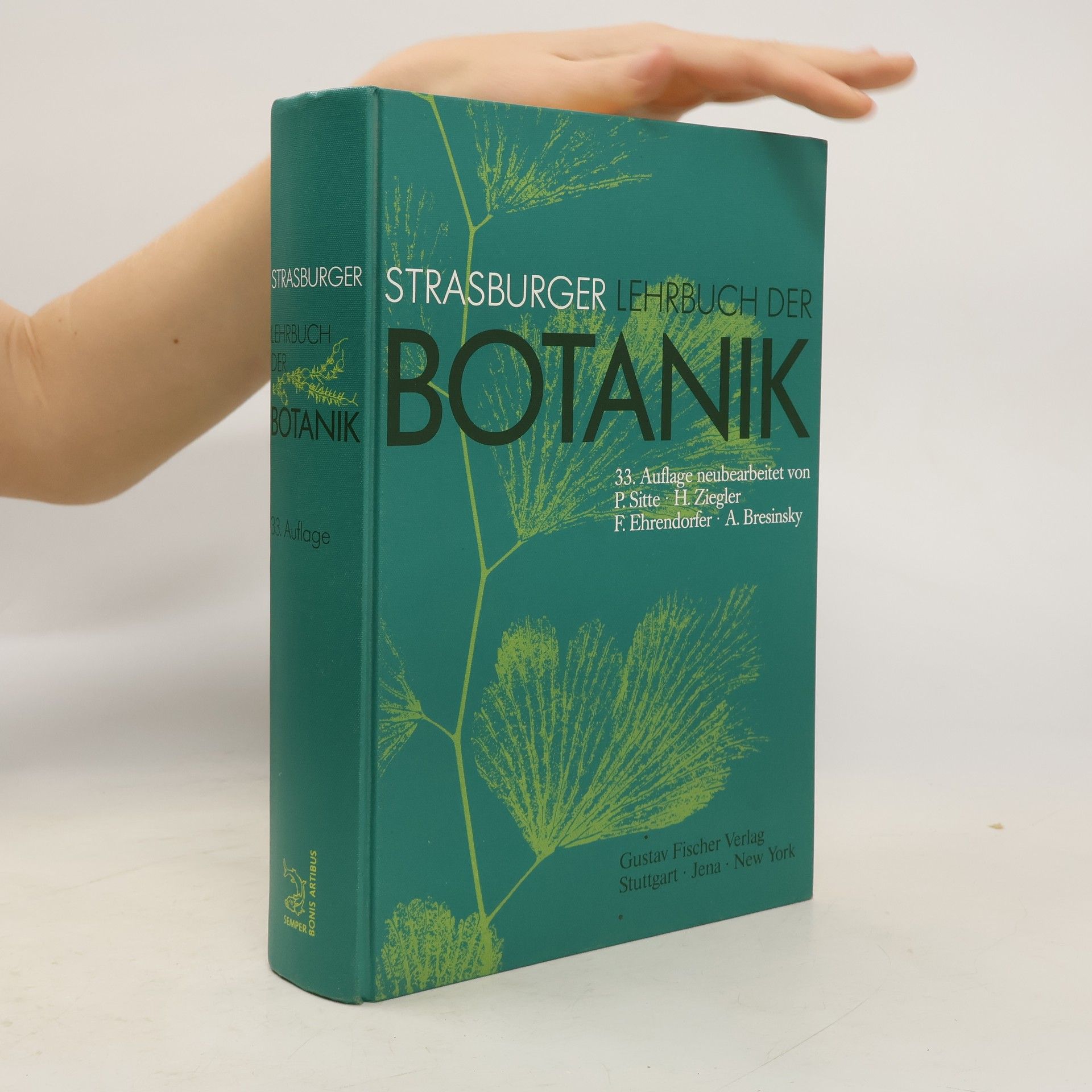 Kolektiv autorů Strasburger Lehrbuch der Botanik