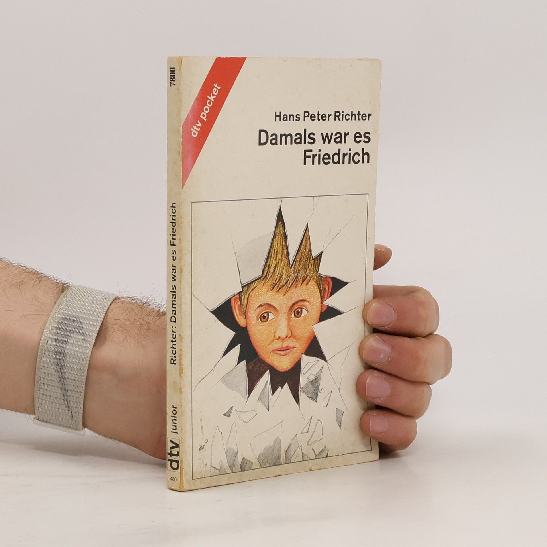 Hans Peter Richter Damals war es Friedrich