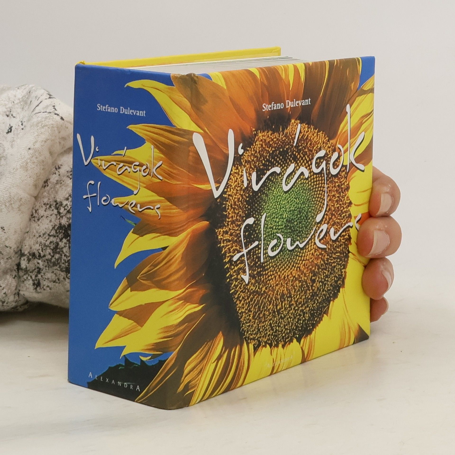 Stefano Dulevant Virágok. Flowers