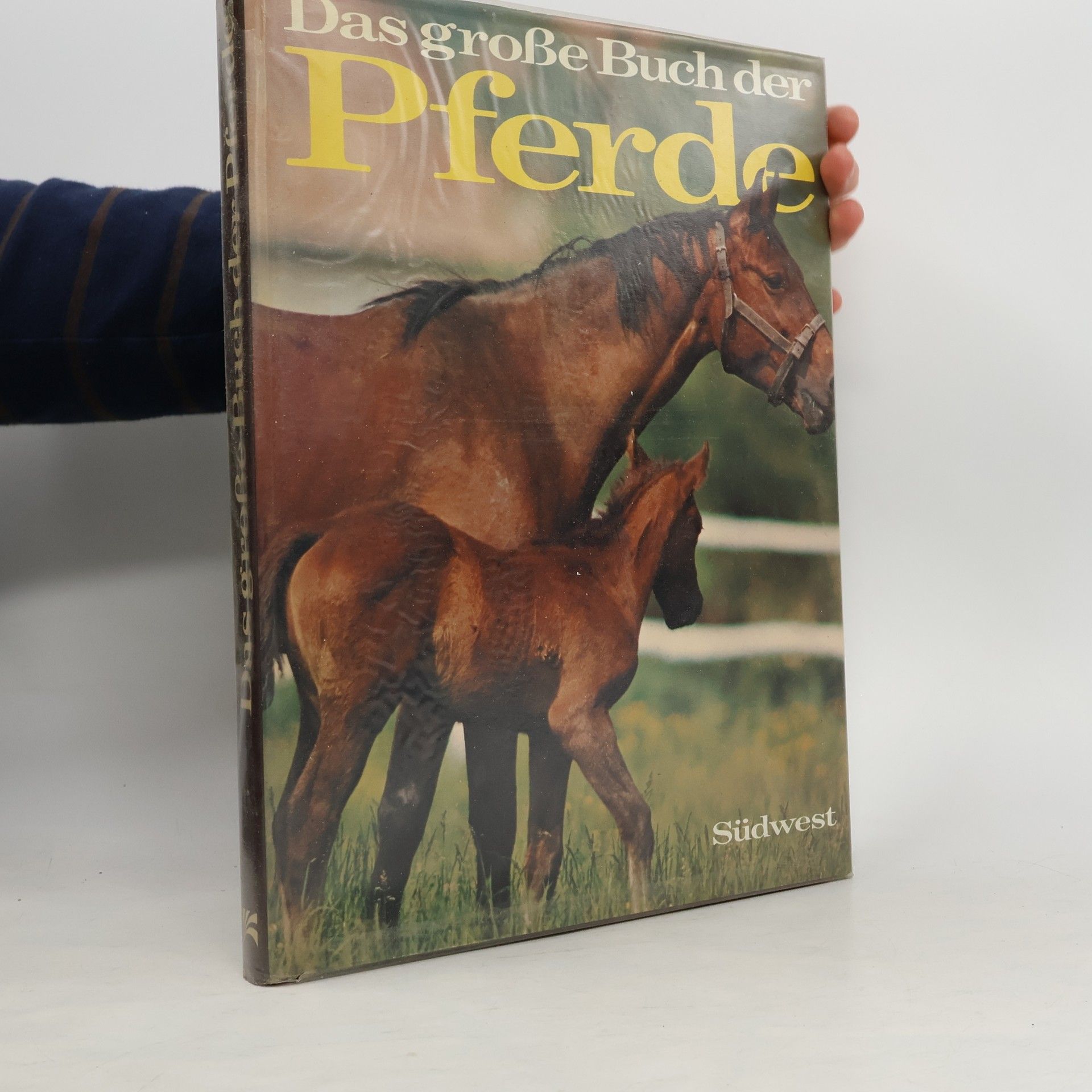 Maureen Clerkin Das grosse Buch der Pferde