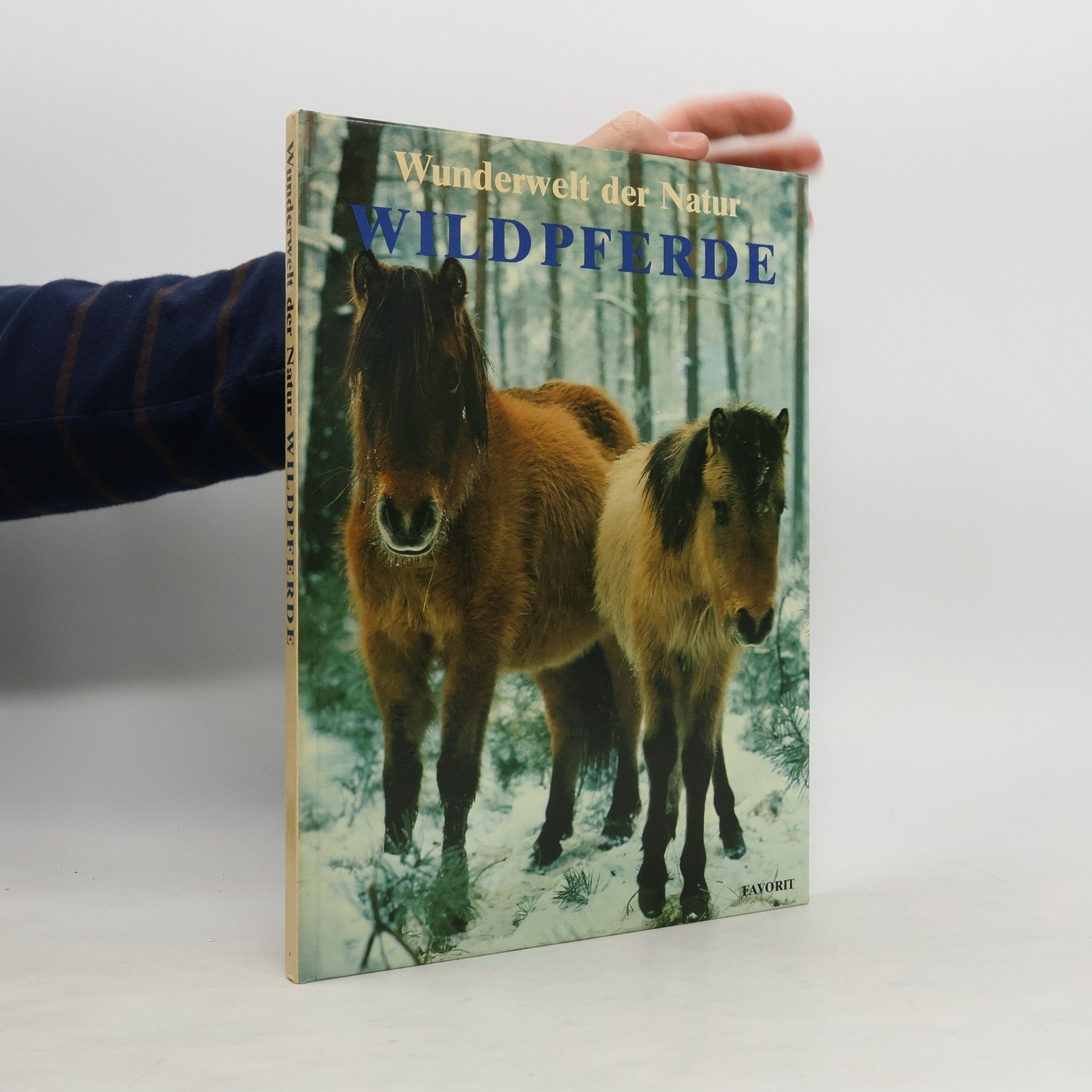 Wunderwelt der natur. Wildpferde