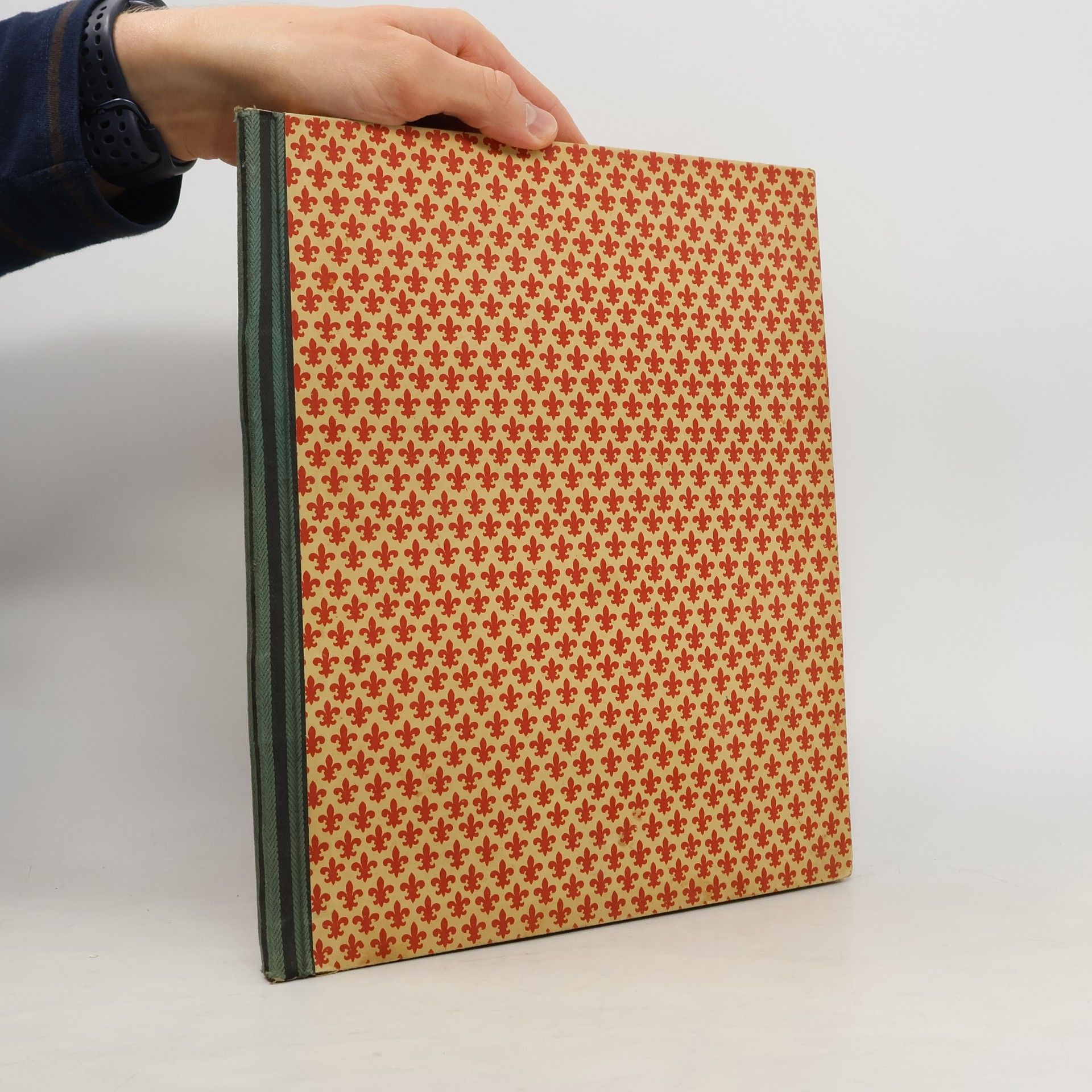 Therese Schefer Des kleinen Volkes fröhliches Treiben