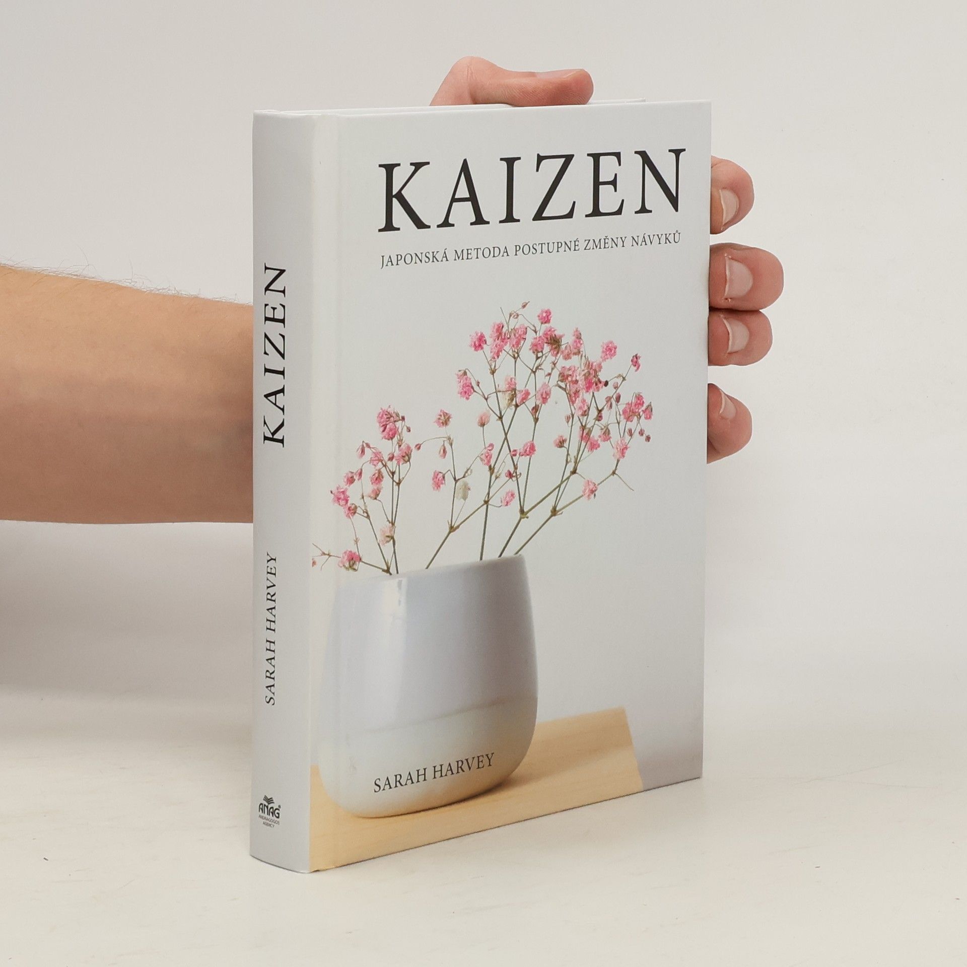 Kaizen: Japonská metoda postupné změny návyků