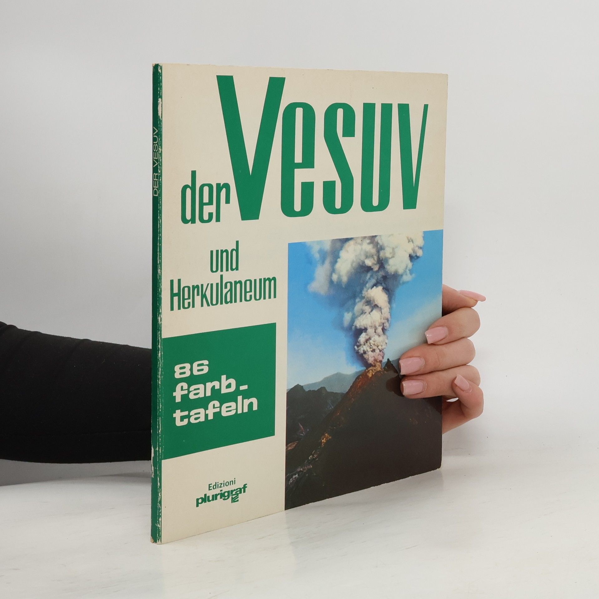 Auteurscollectief Der Vesuv und Herkulaneum