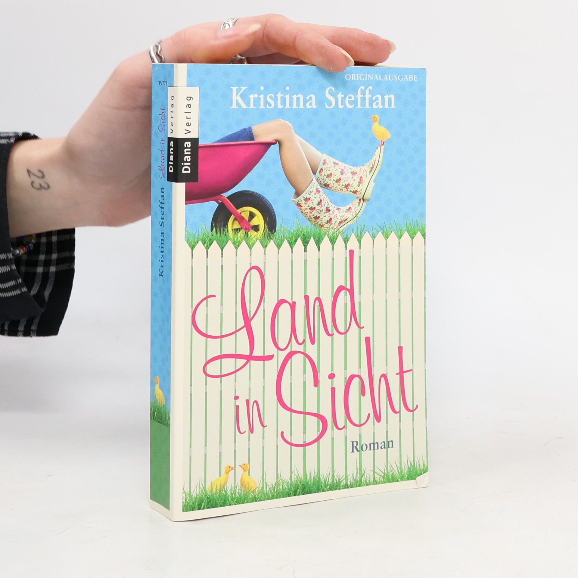 Kristina Steffan Land in Sicht