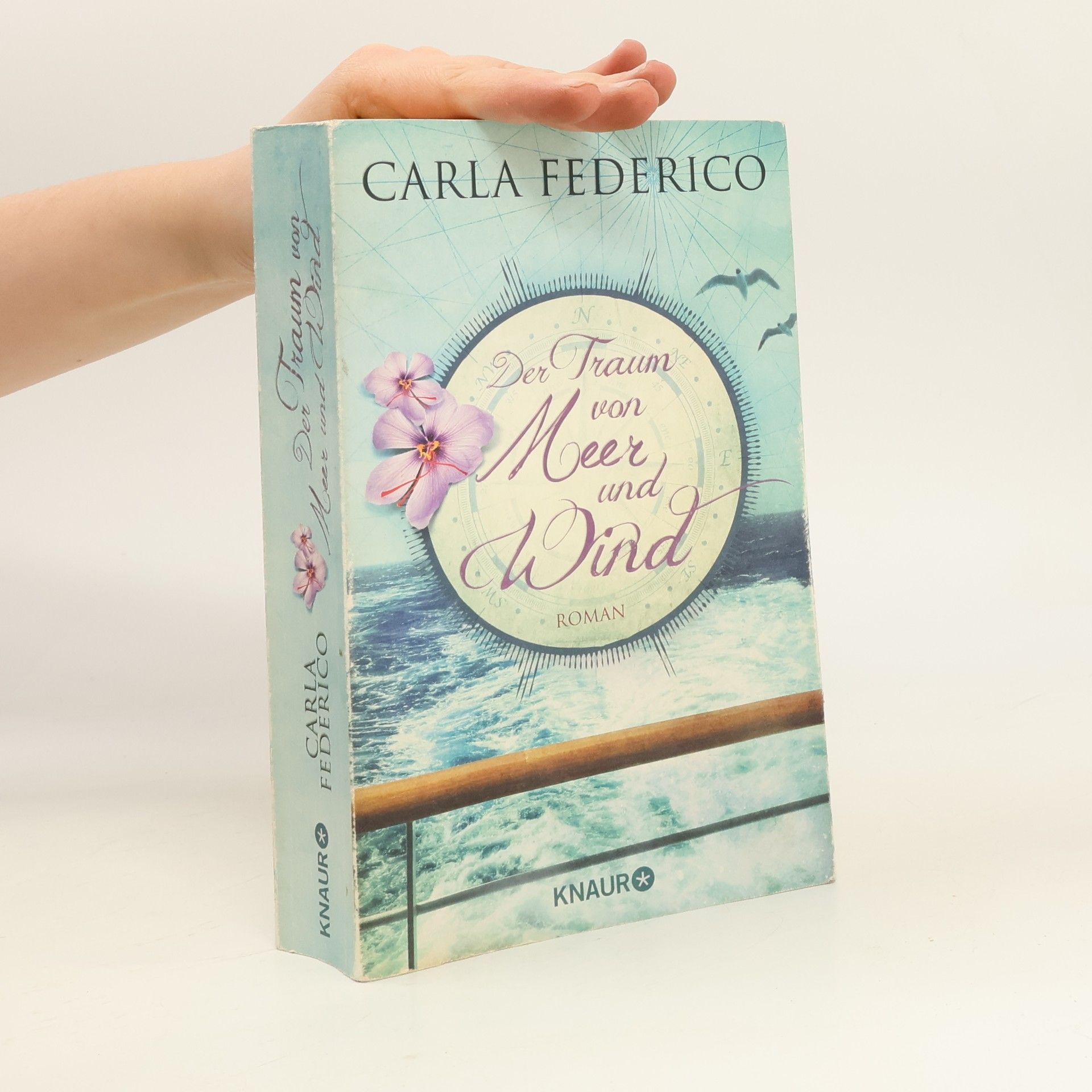 Carla Federico Der Traum von Meer und Wind