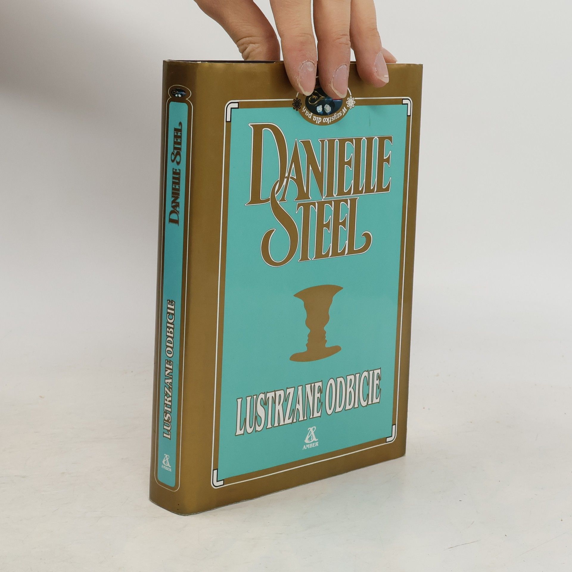 Danielle Steel Lustrzane odbicie
