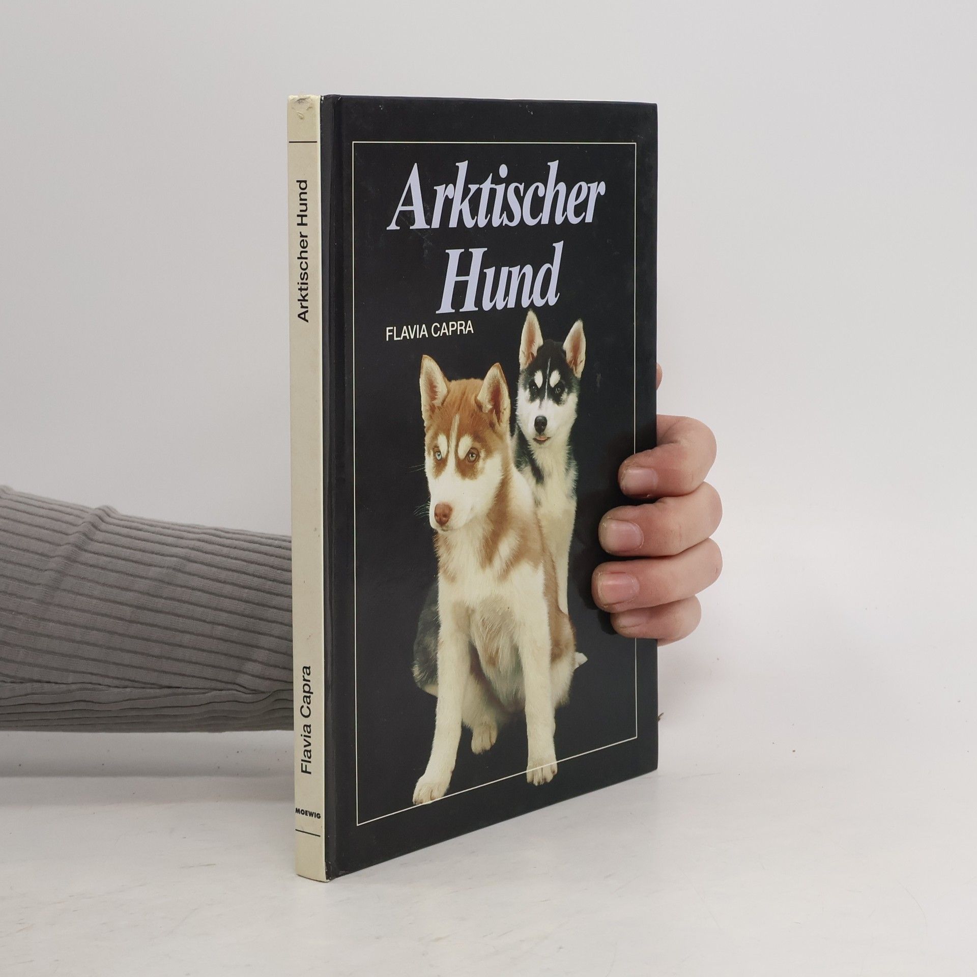 Arktischer Hund