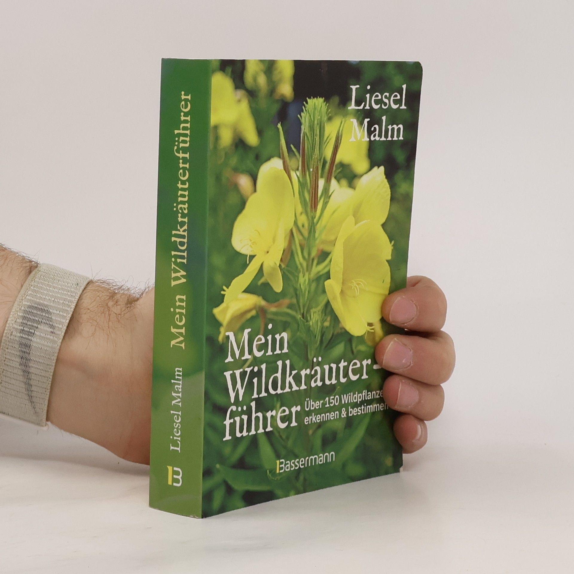 Mein Wildkräuterführer. Über 150 Wildpflanzen sammeln, erkennen & bestimmen.