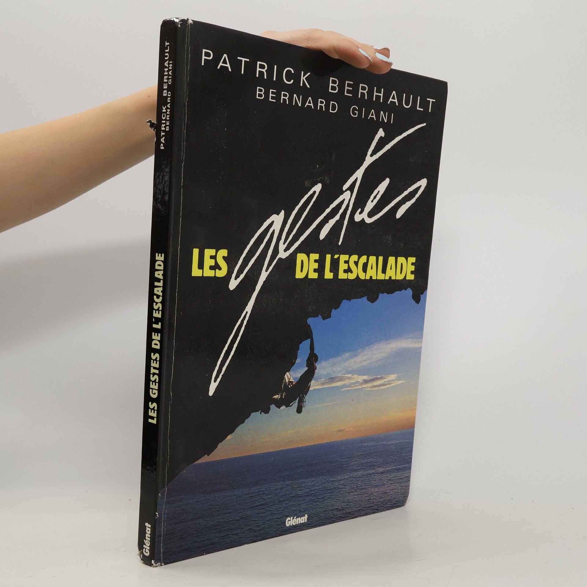 Patrick Berhault Les Gestes de l'escalade