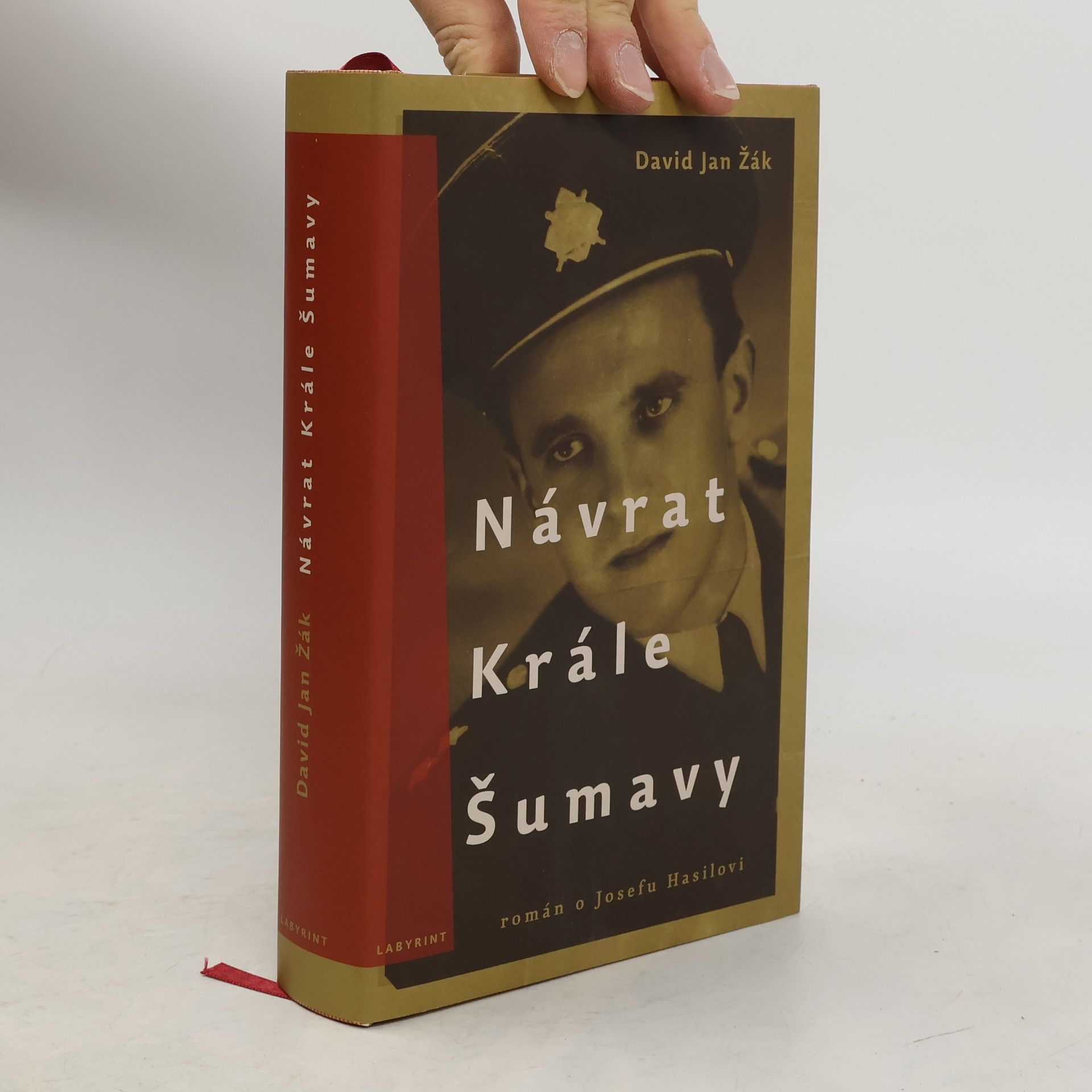 David Jan Žák Návrat Krále Šumavy